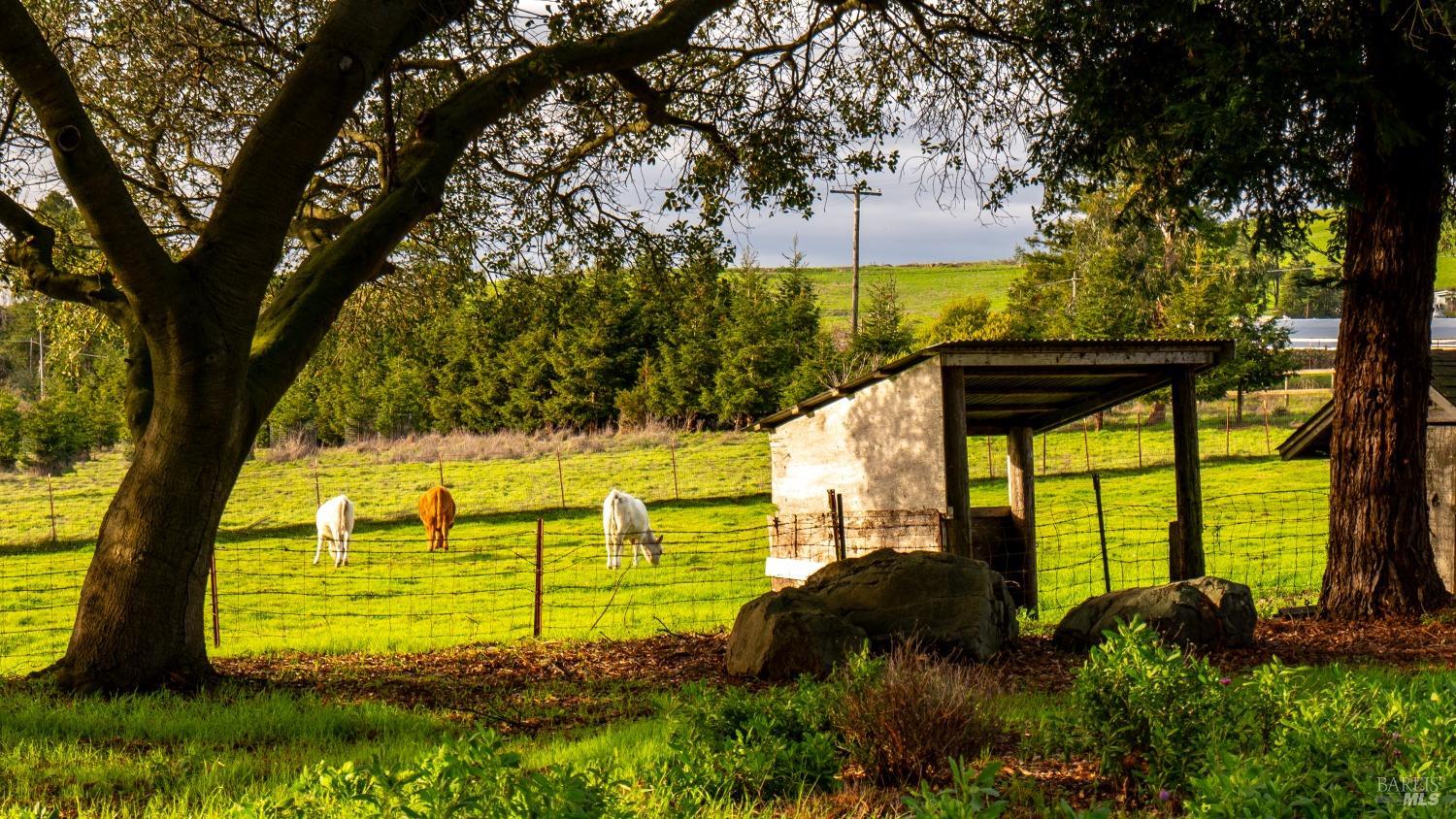 3701 Middle Two Rock Rd