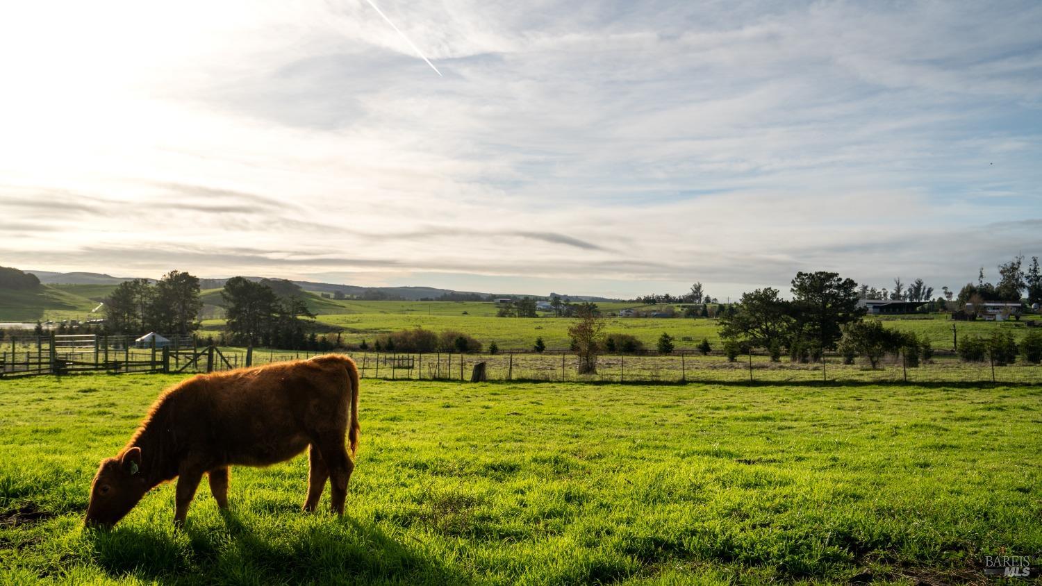 3701 Middle Two Rock Rd