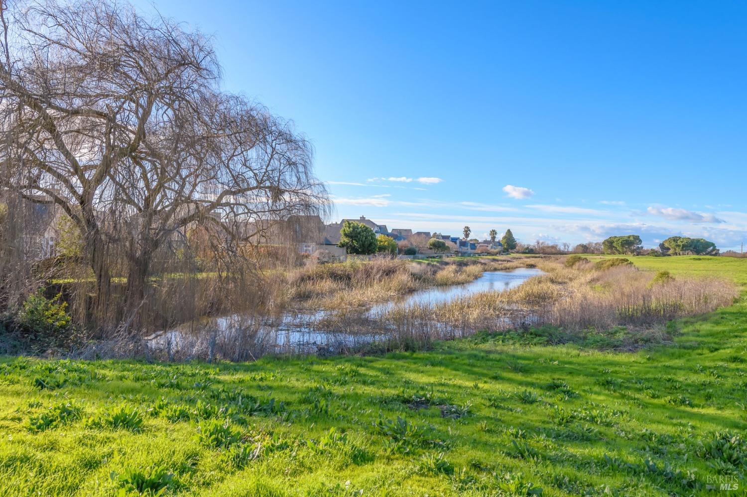 1908 Falcon Ridge Dr