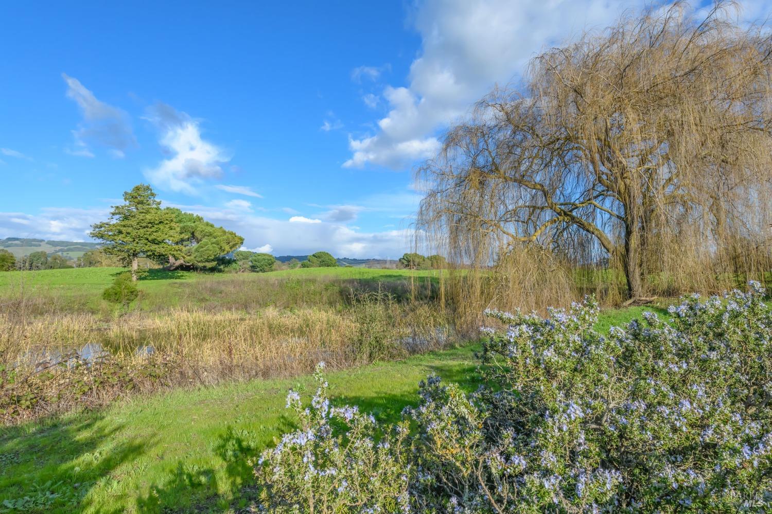 1908 Falcon Ridge Dr