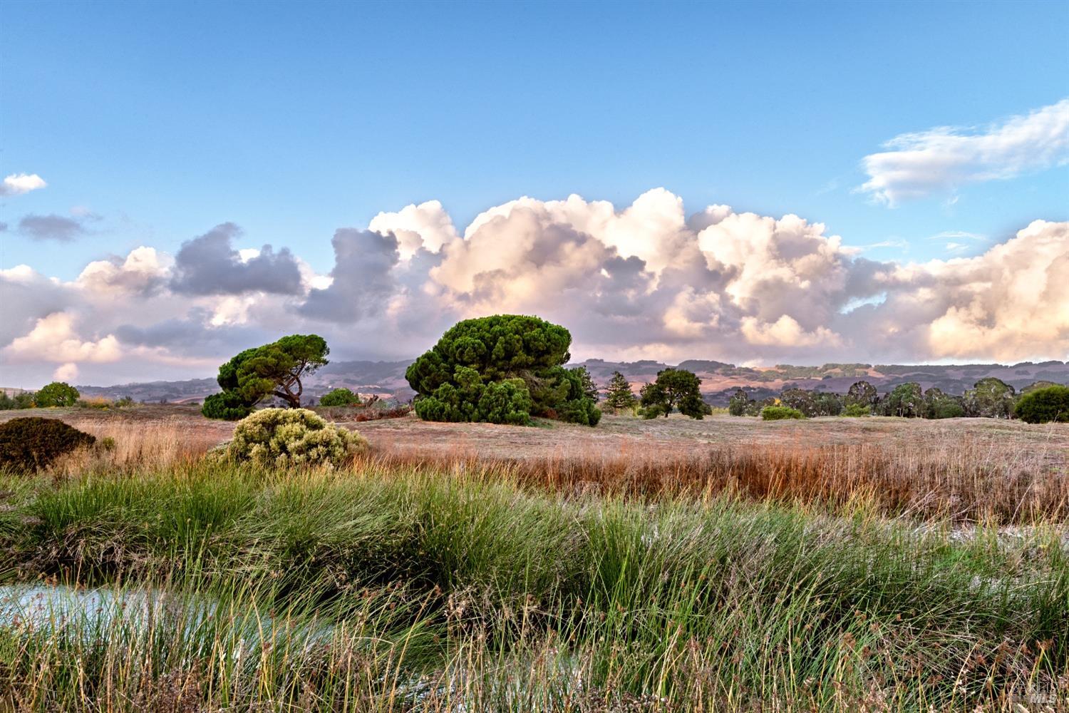 1908 Falcon Ridge Dr