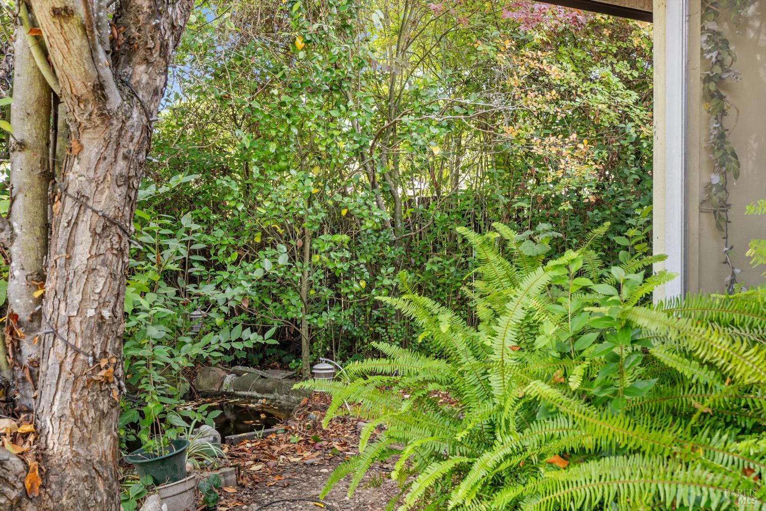 2320 Masterson Court