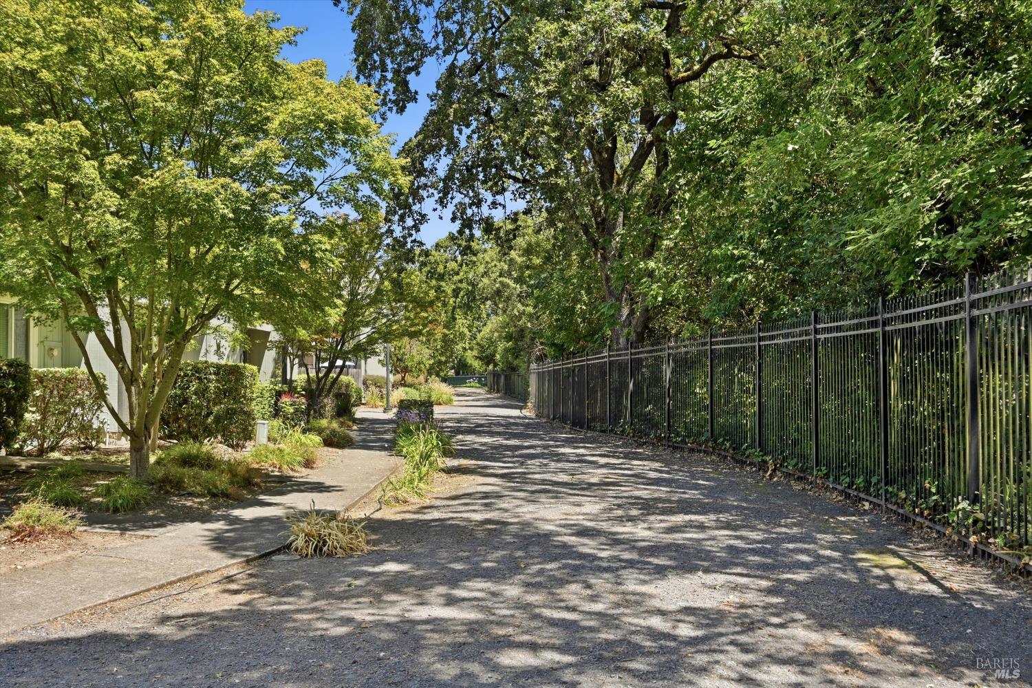323 Harvest Lane