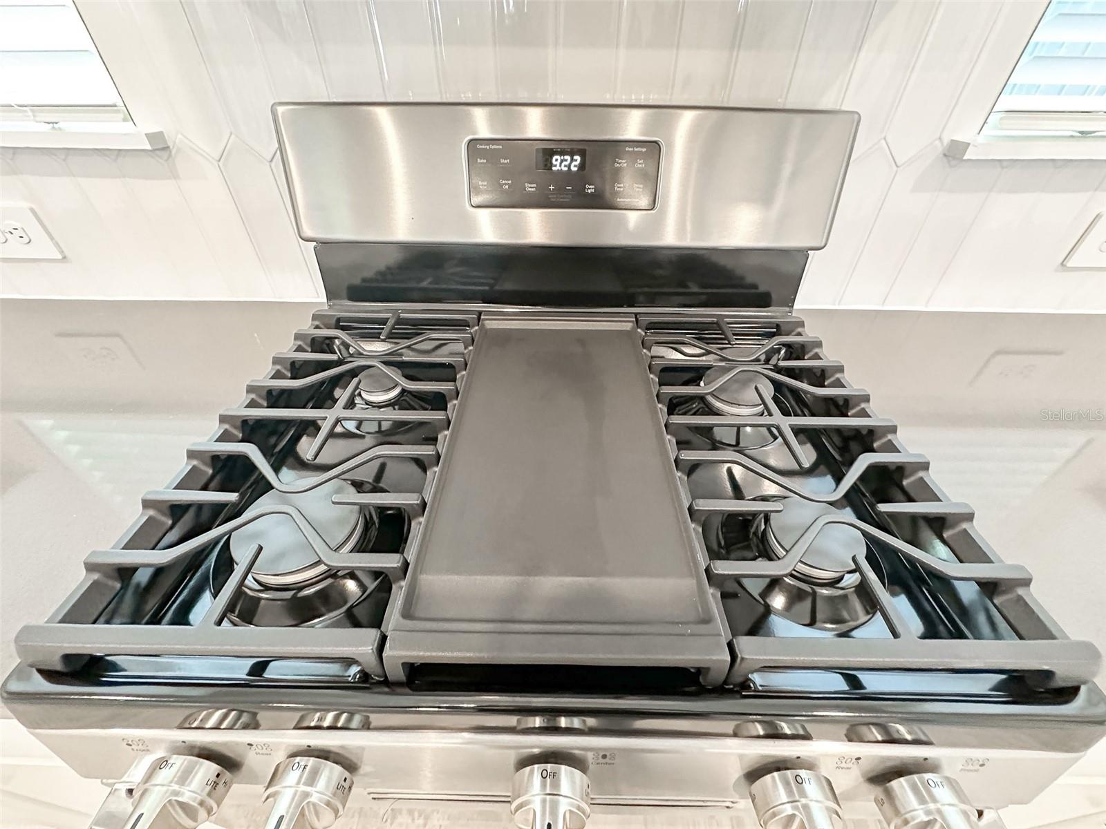 15089 SUMMER HARVEST ST