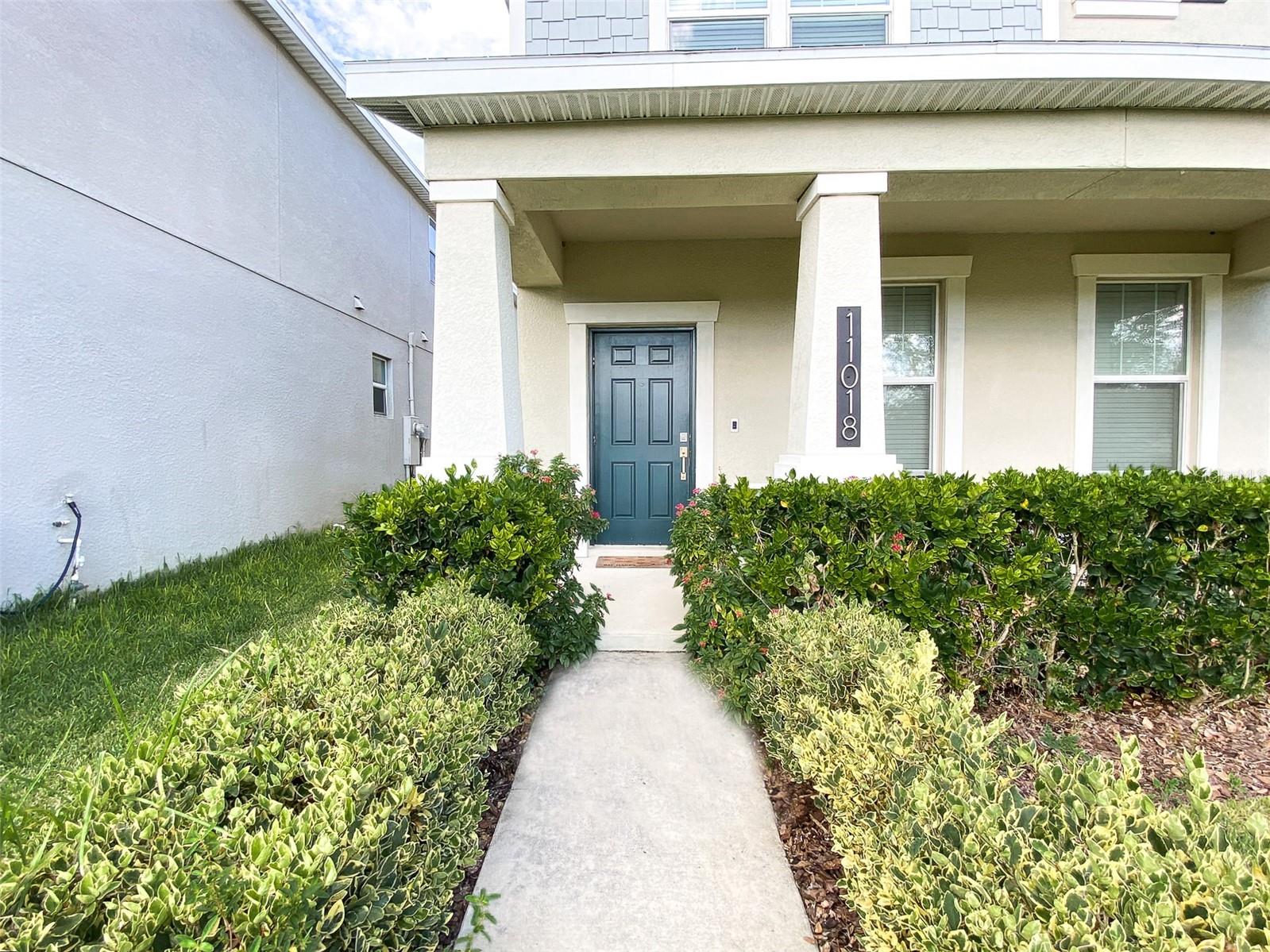 11018 SILVER SURFER ALY