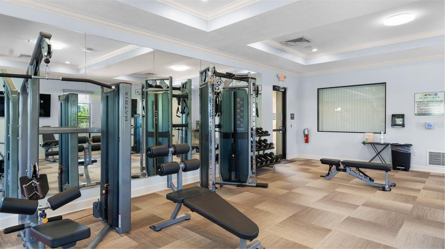 11018 SILVER SURFER ALY