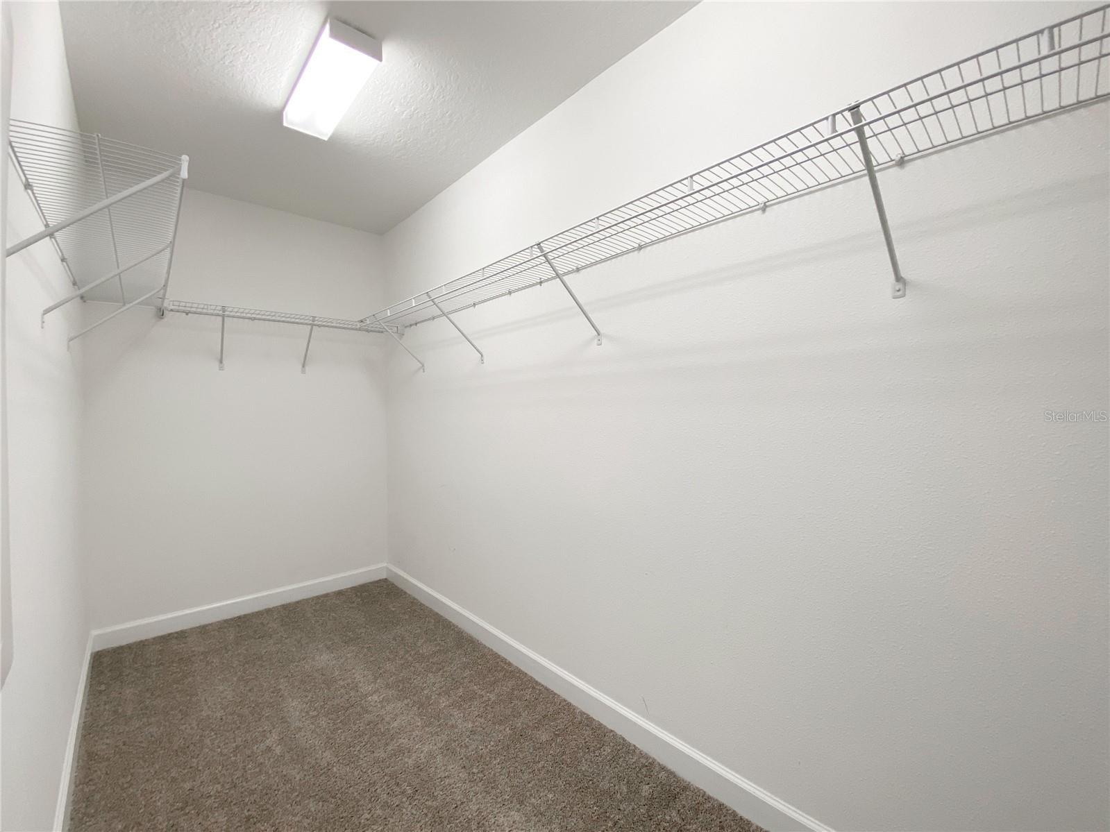 11018 SILVER SURFER ALY