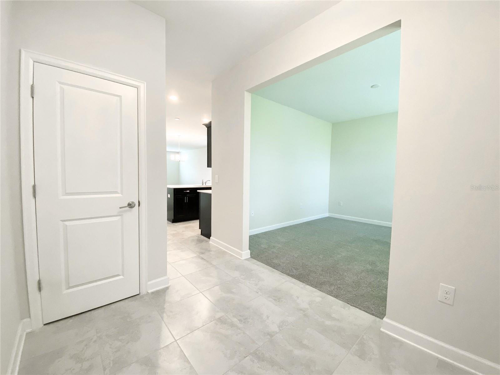 11018 SILVER SURFER ALY