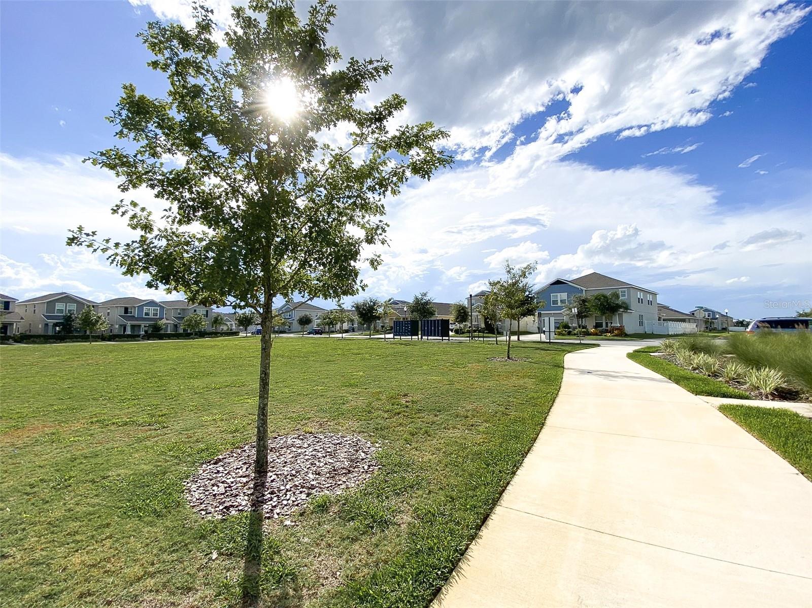 11018 SILVER SURFER ALY