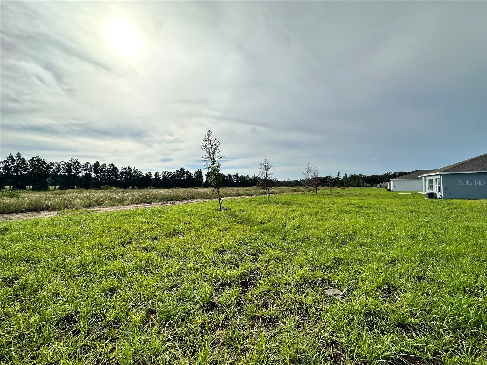 309 LOCH CT
