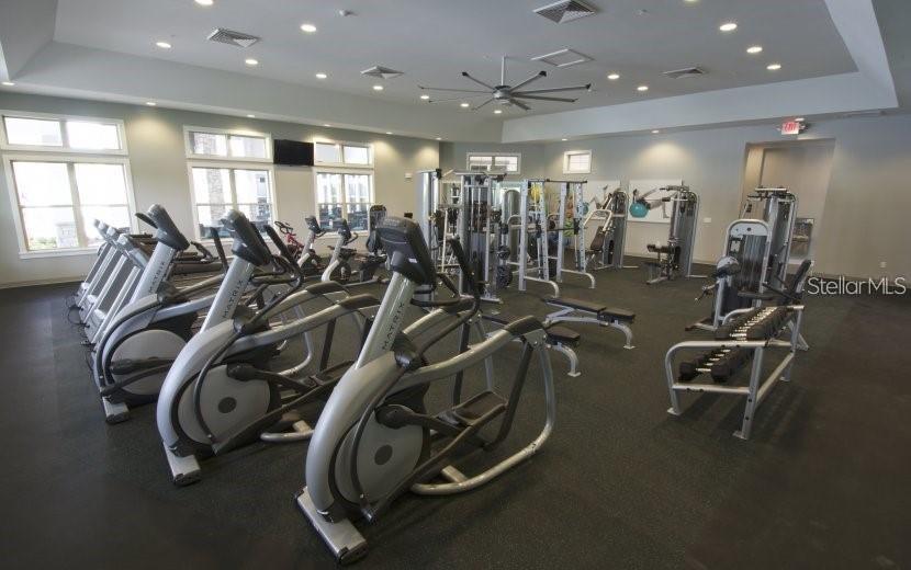 10119 AUDUBON TRACE ALY