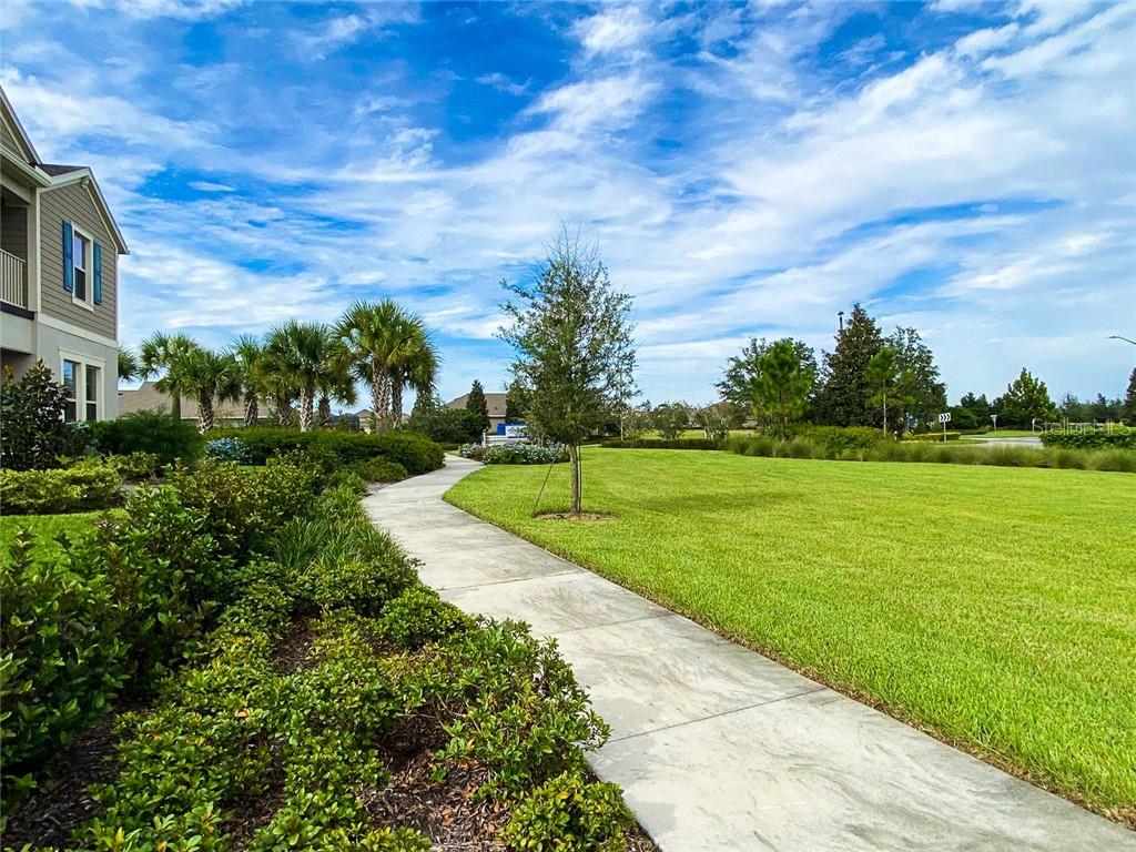 10119 AUDUBON TRACE ALY