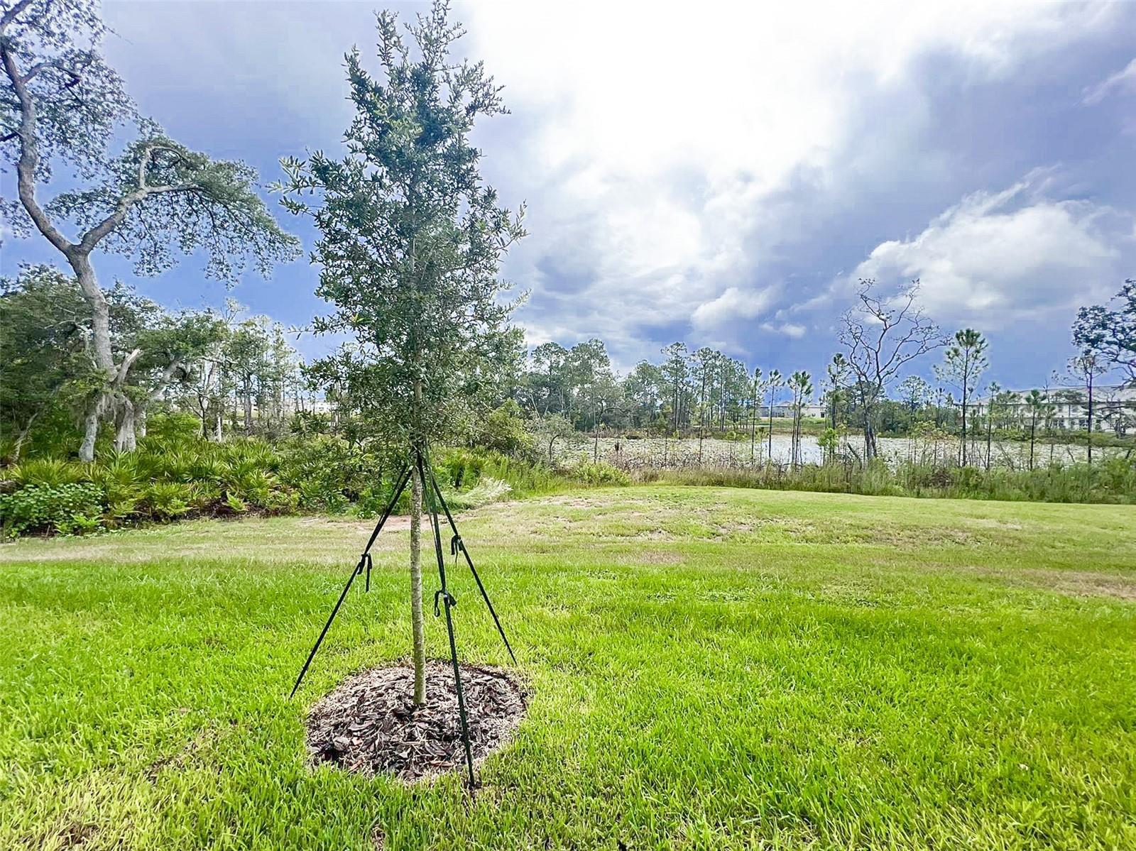 868 LONGBOAT DR