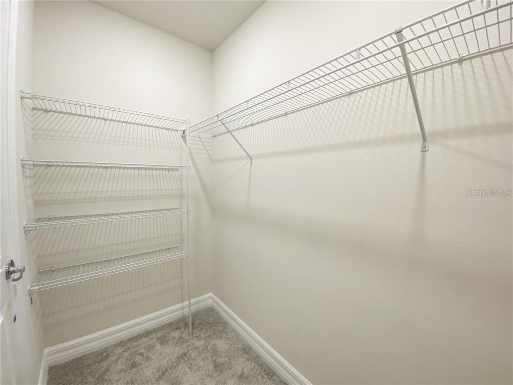 17434 MILLION LAKES CT