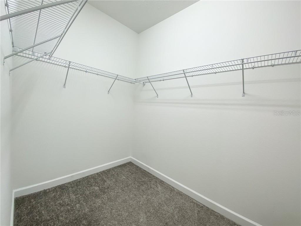 11061 VIGNETTE ALY