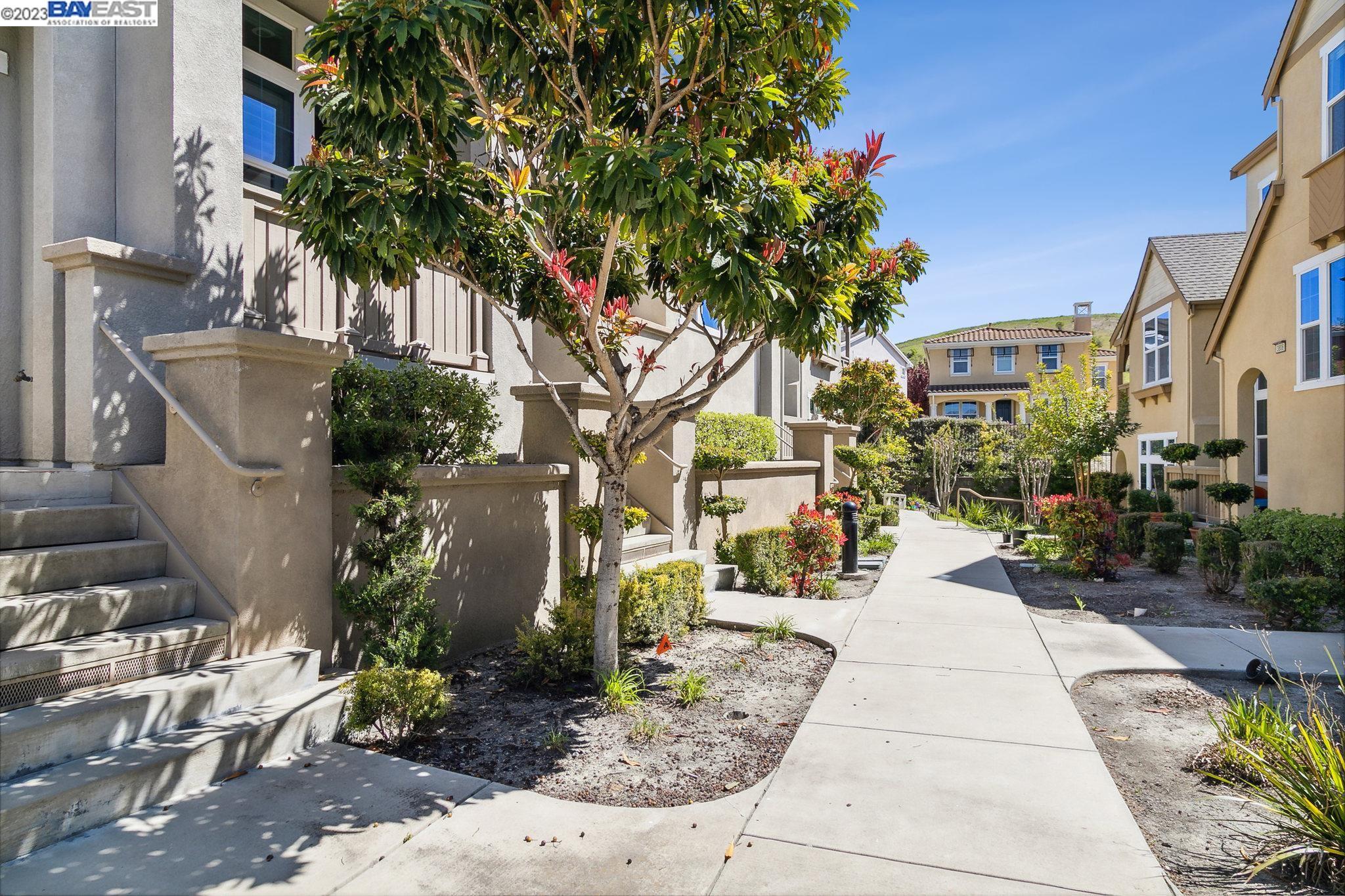 3788 Branding Iron Place