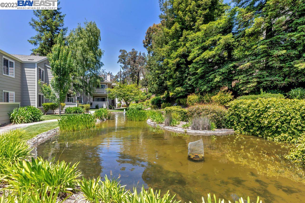 302 Norris Canyon Ter