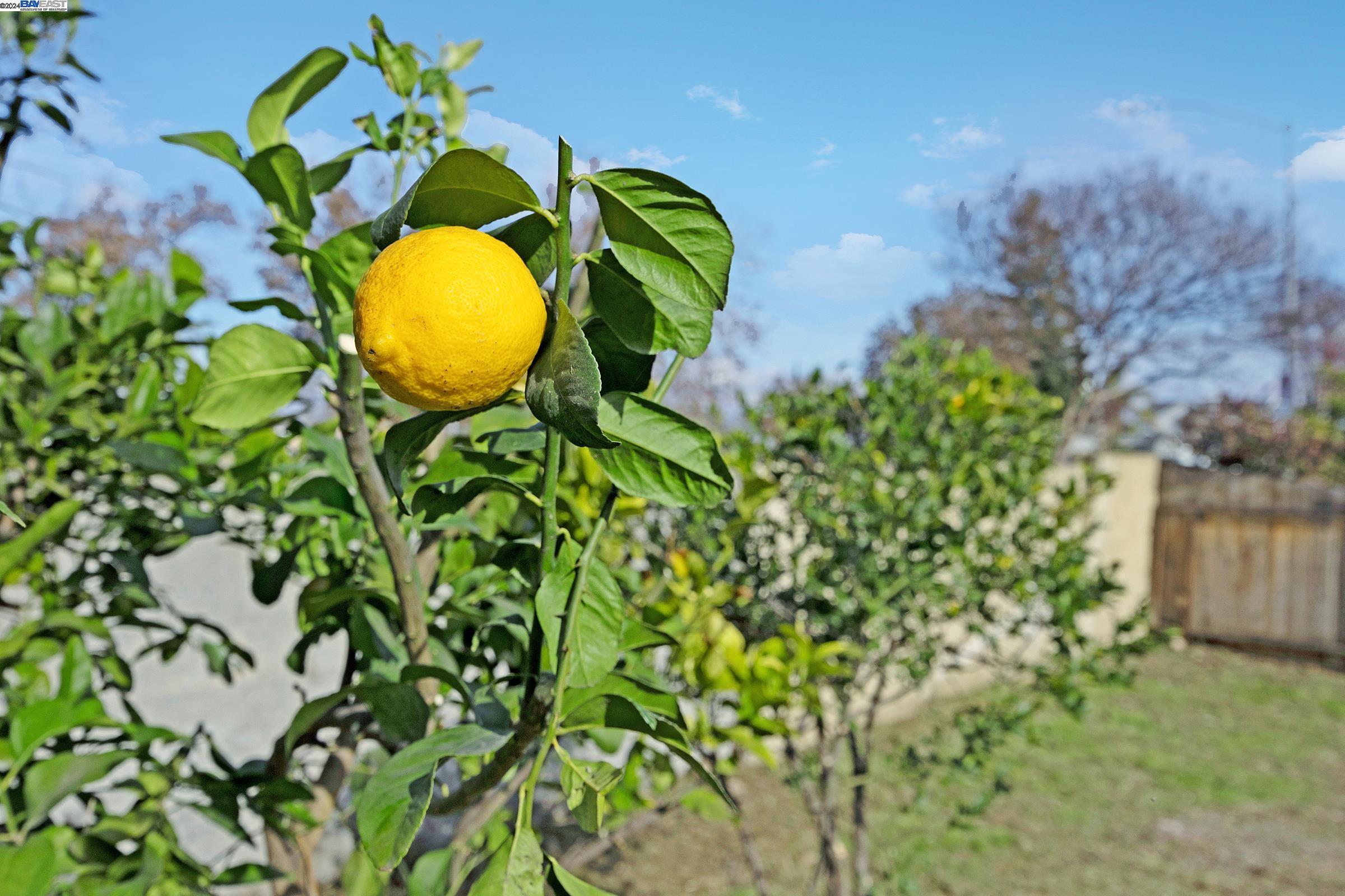 1773 Willow Park Way