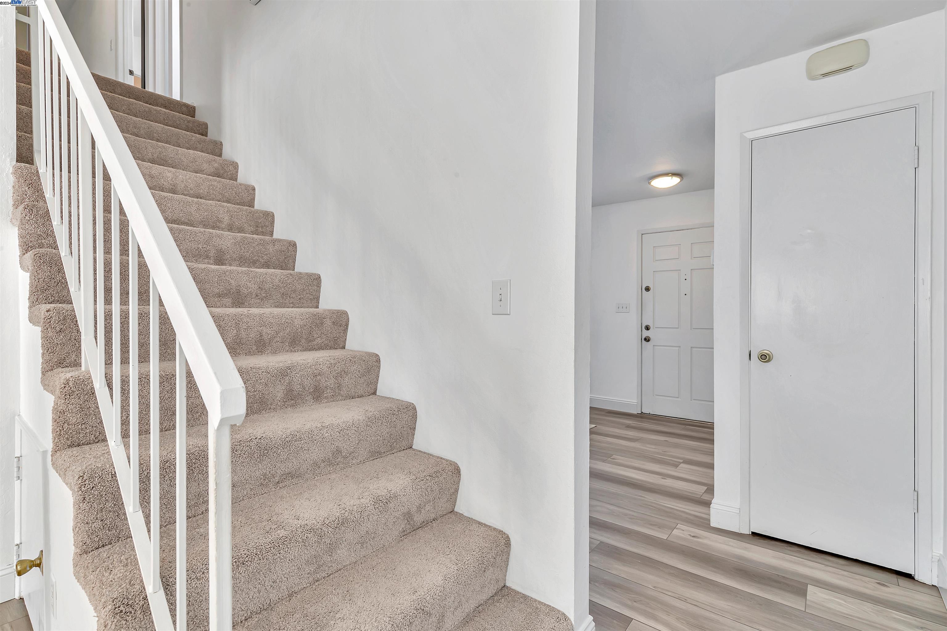 3806 Pimlico Dr