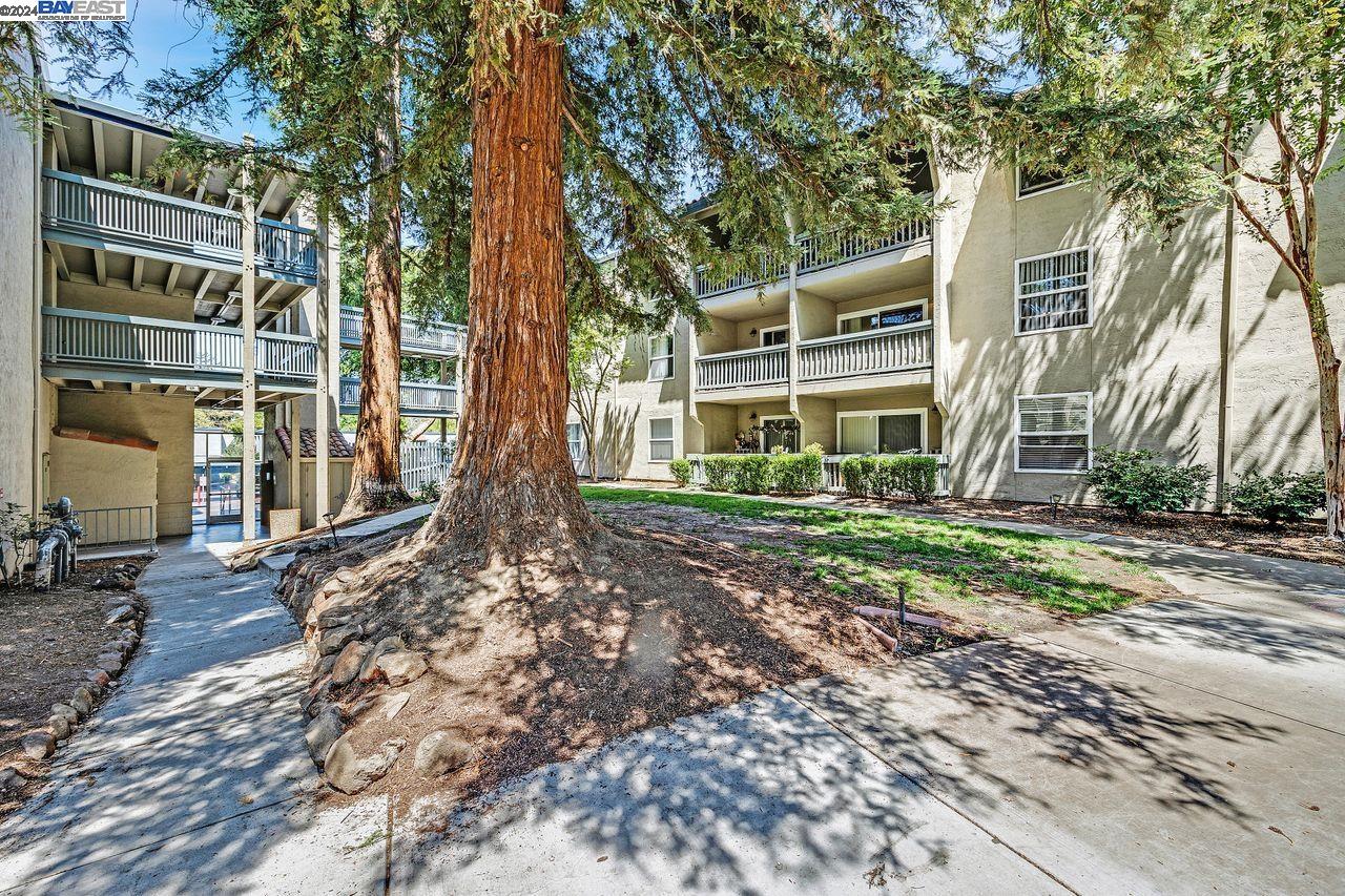 1085 Murrieta Blvd. # 203