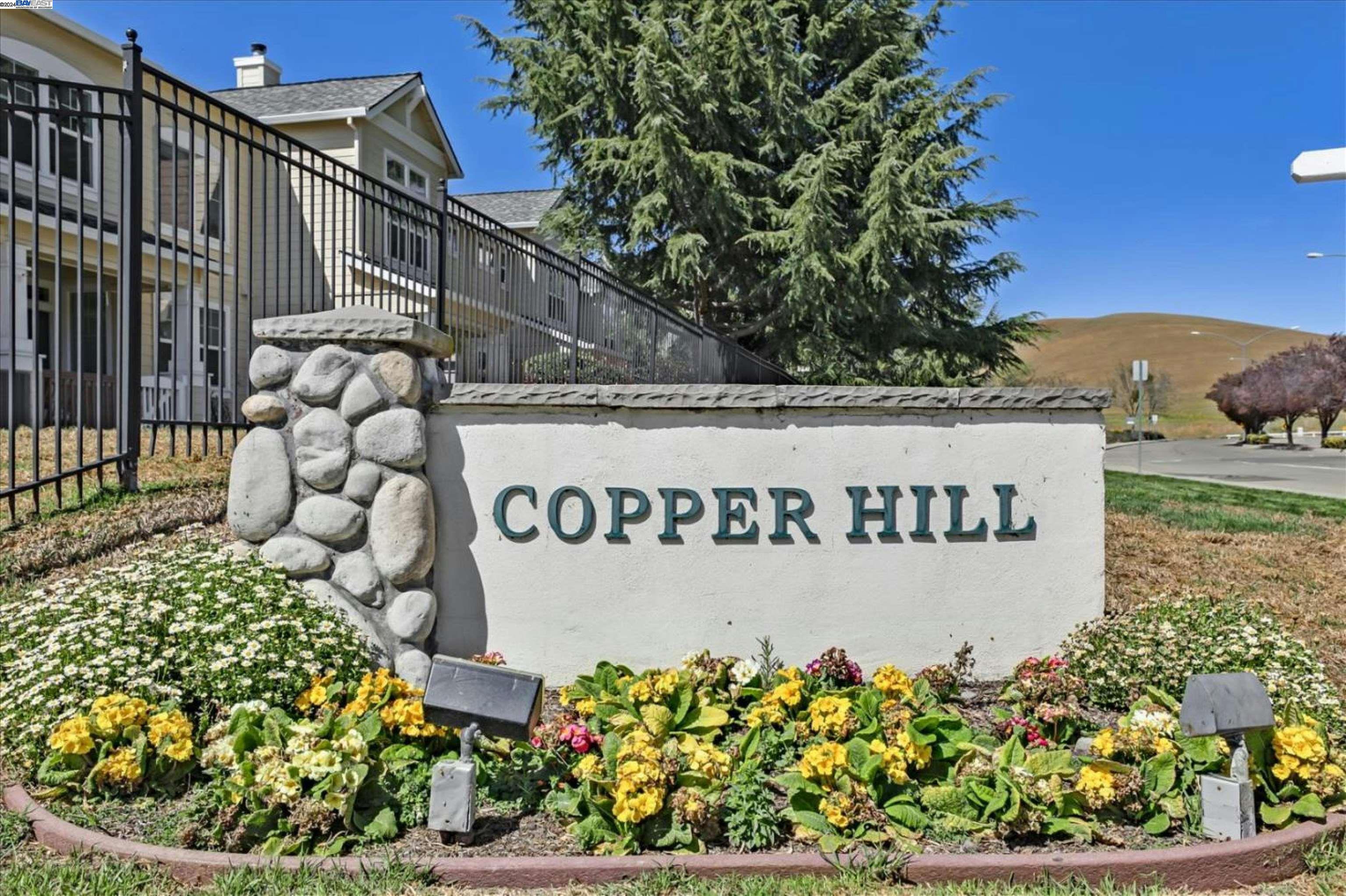 26 Bellington Cmn # 3