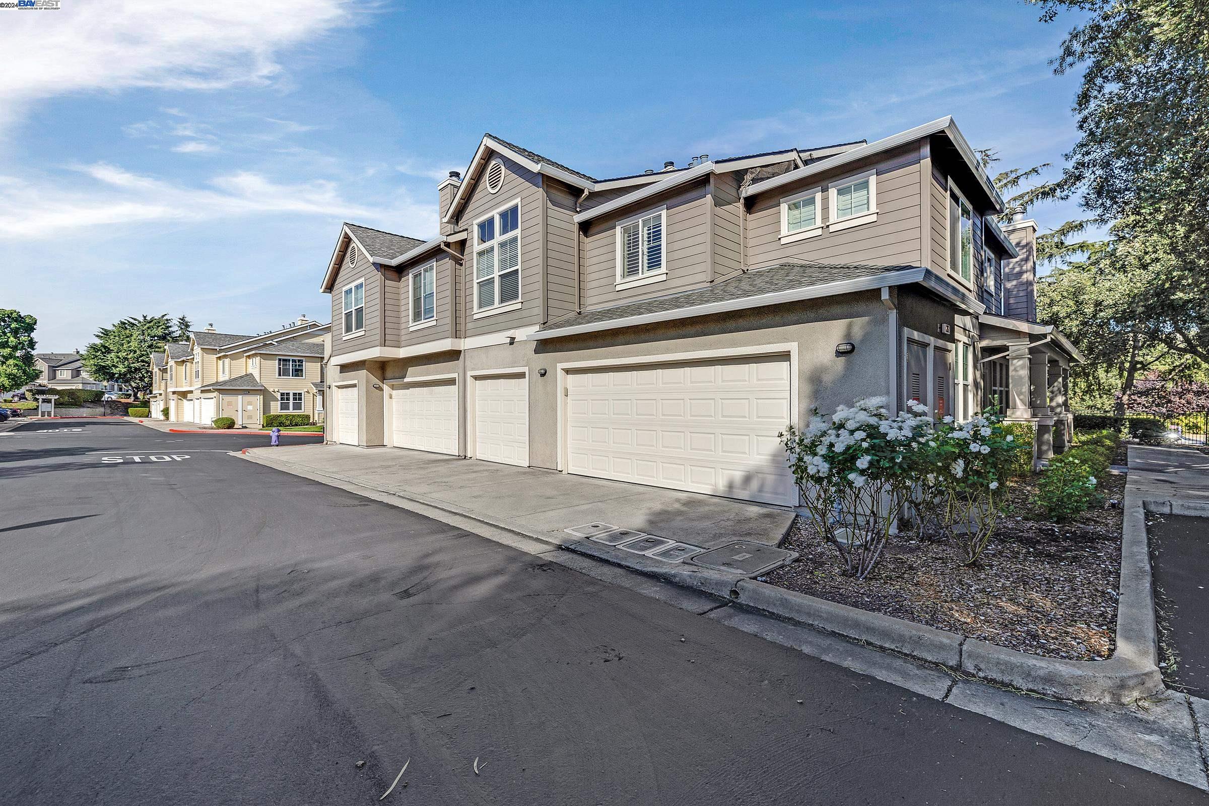 26 Bellington Cmn # 3