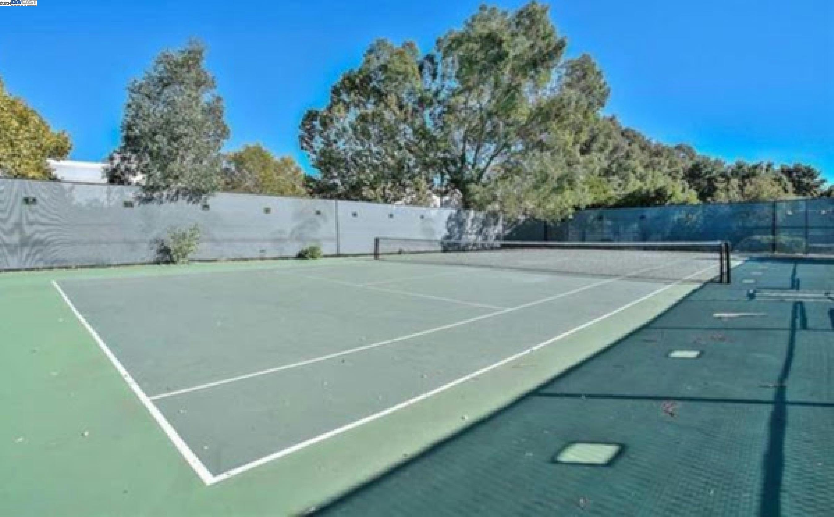 26 Bellington Cmn # 3