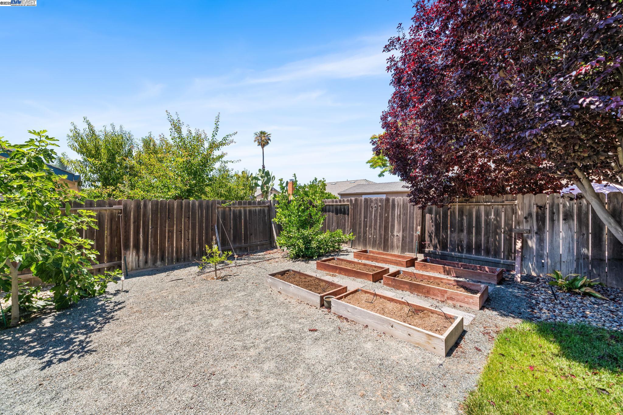 646 Brighton Way