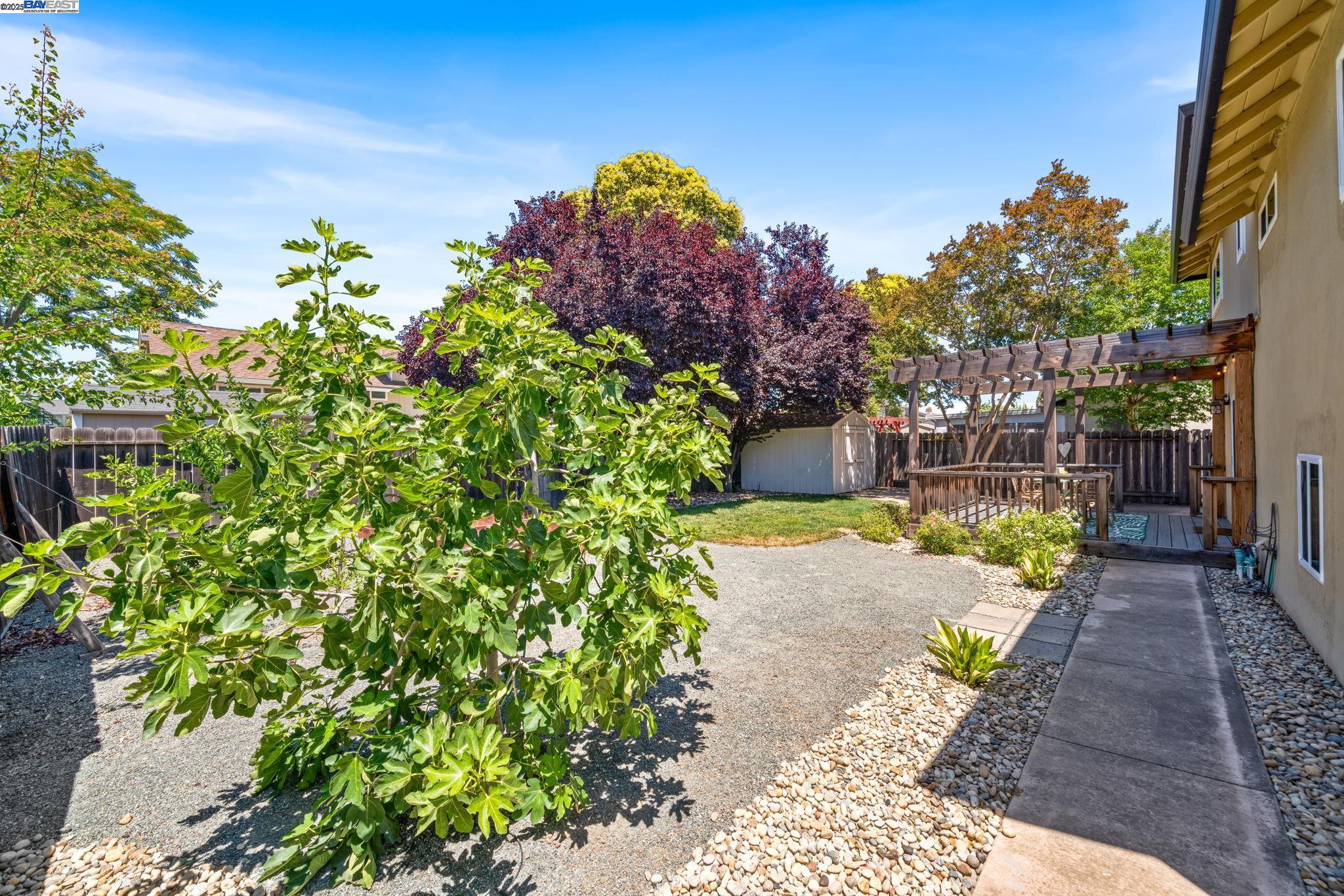 646 Brighton Way