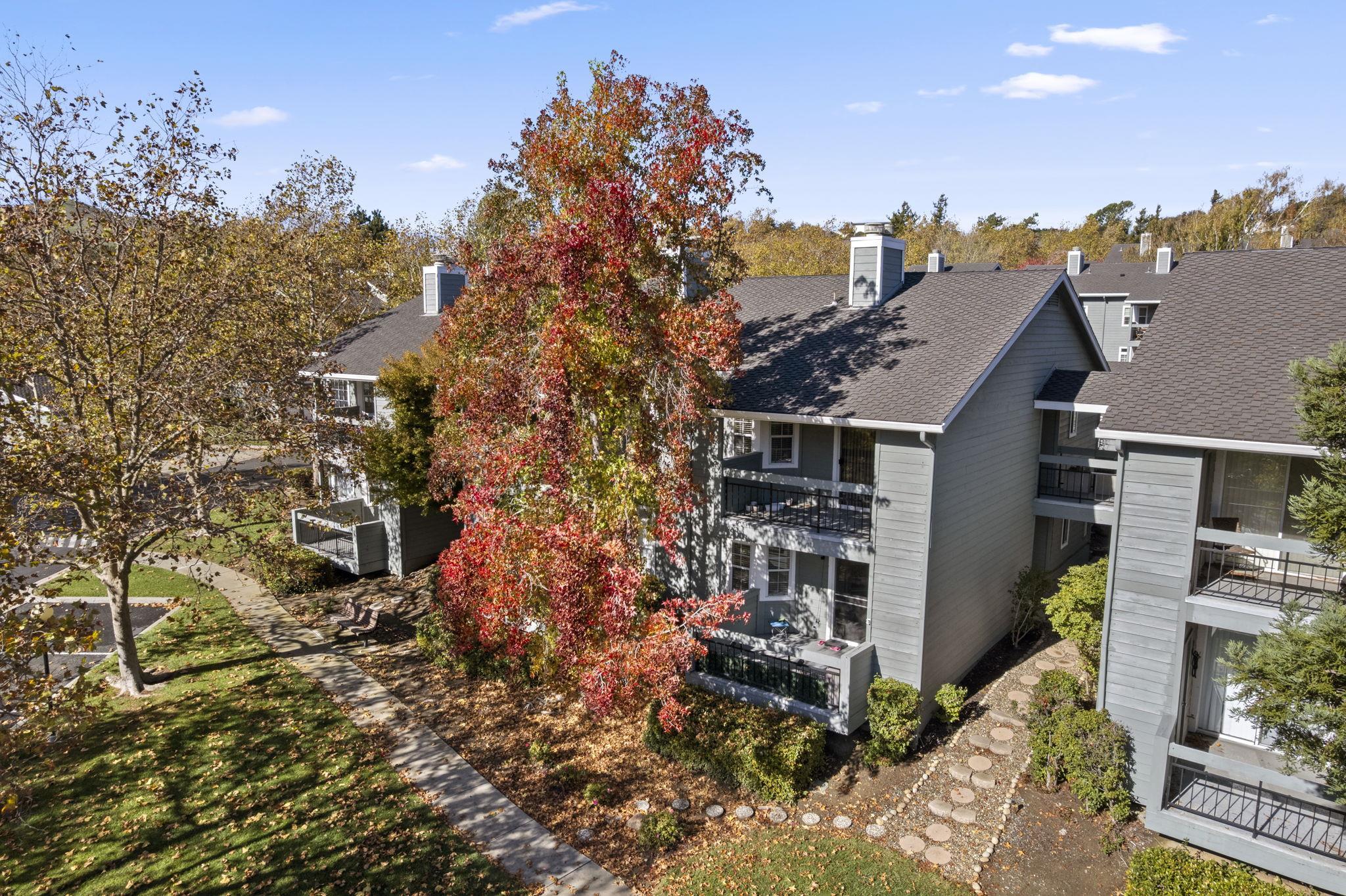 8170 Mountain View Dr # F