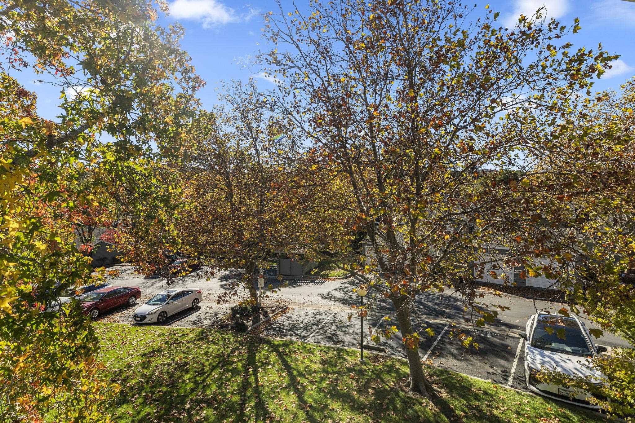 8170 Mountain View Dr # F