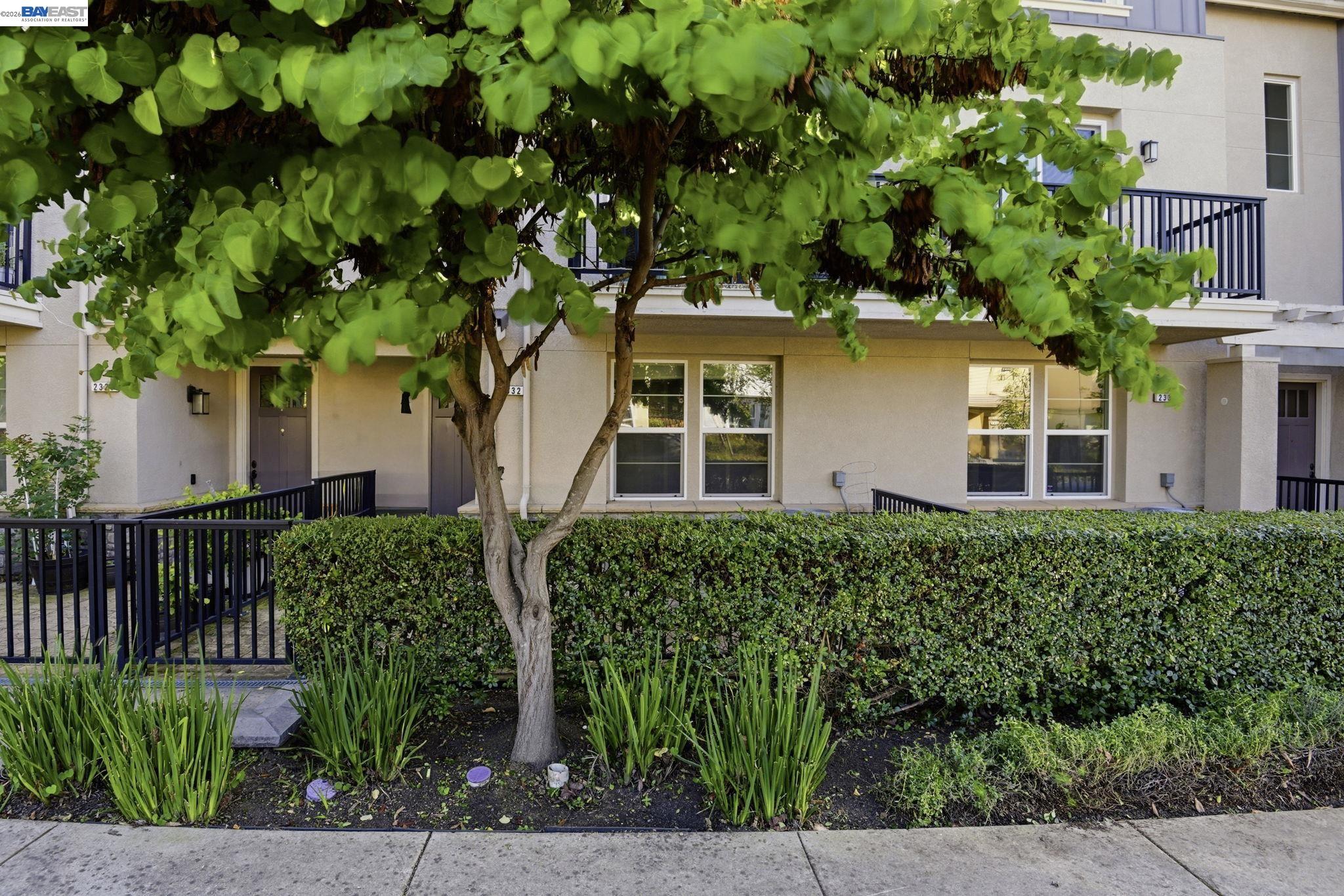 2332 Carbondale Way