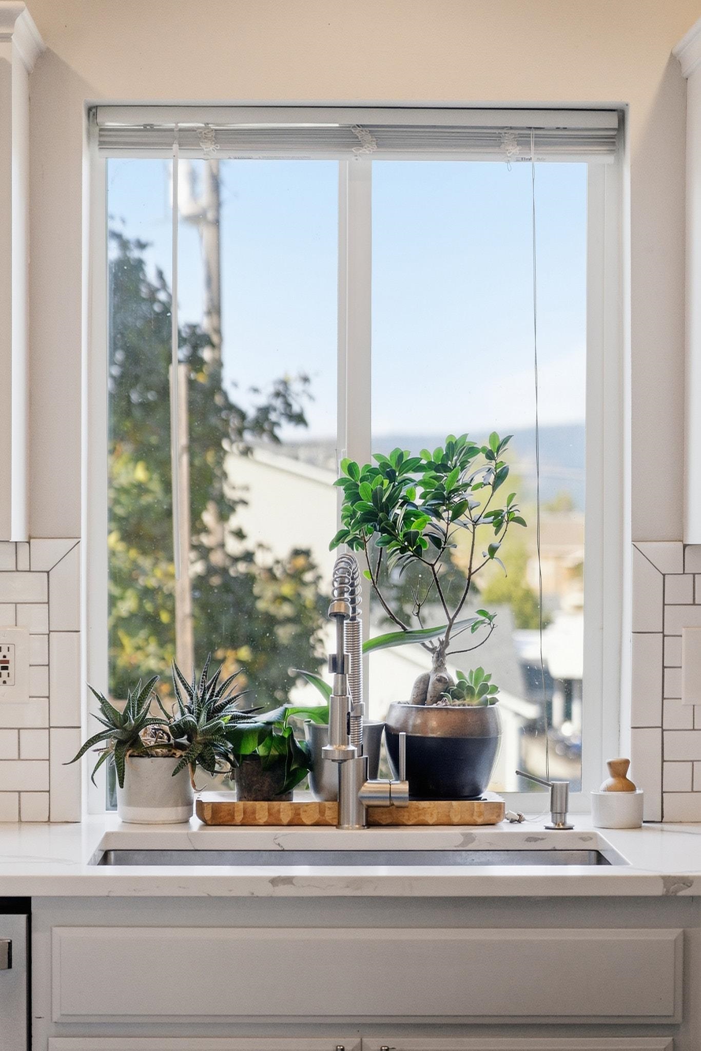 Kitchen sink with a tall faucet and potted plants arranged in front of a large window.