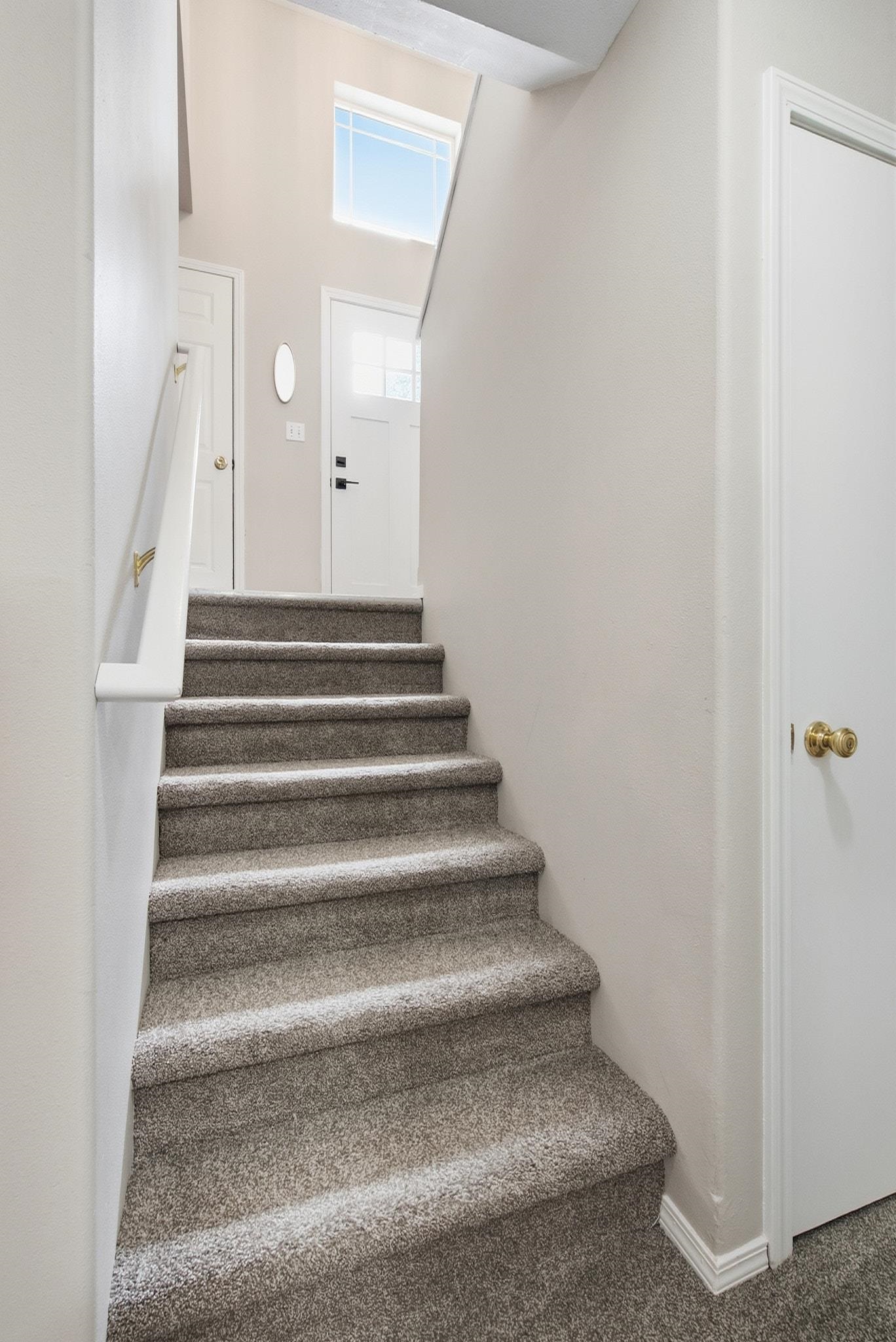 Carpeted staircase leading to a landing with a white entry door and high window.