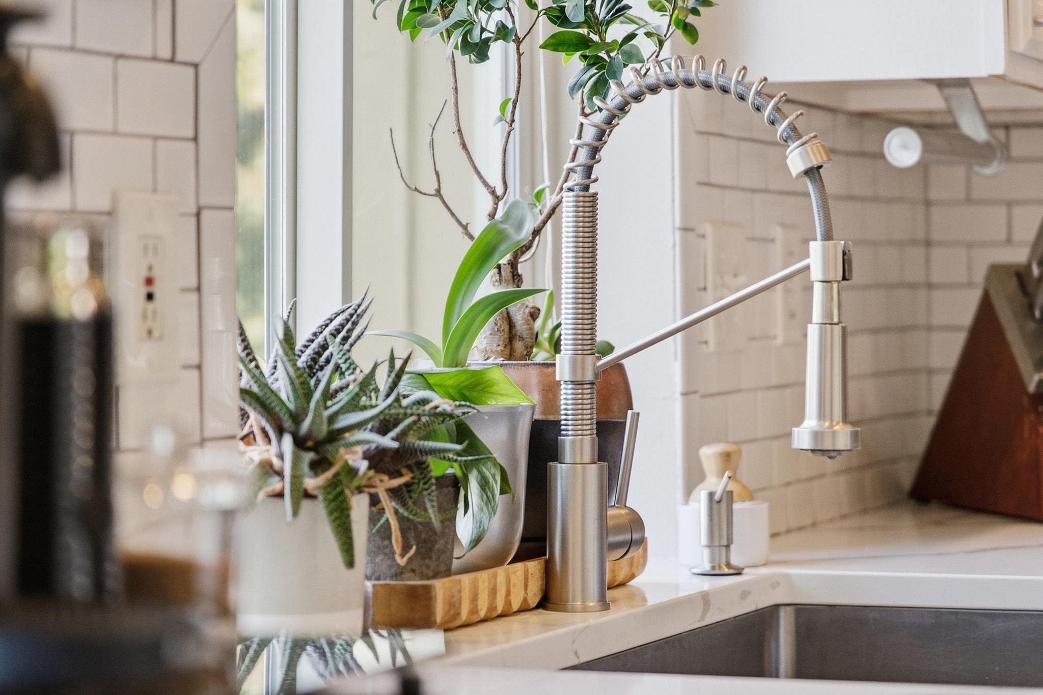 Kitchen sink with a stainless steel pull-down faucet and potted plants along the counter.