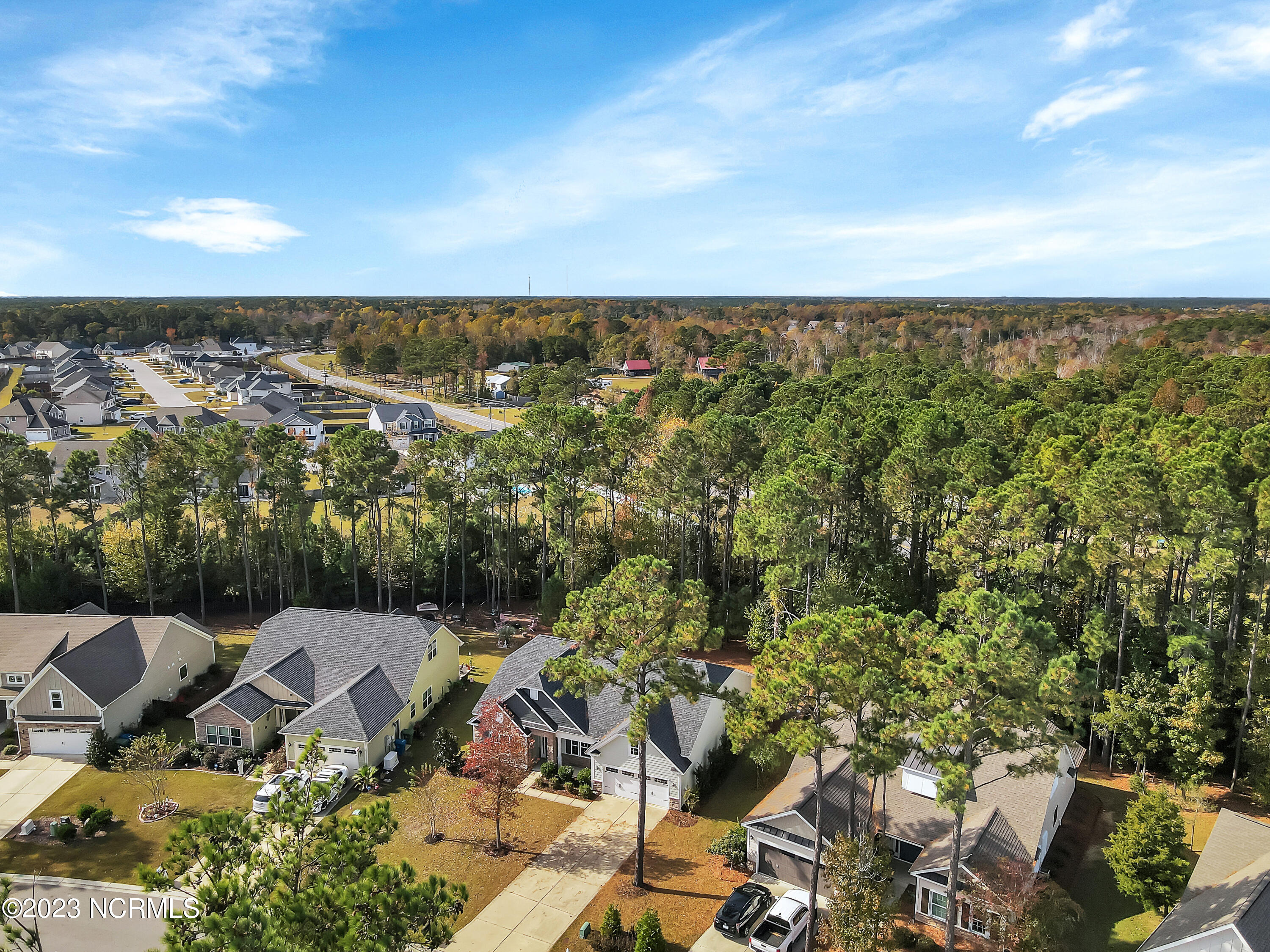 361 W Goldeneye Lane