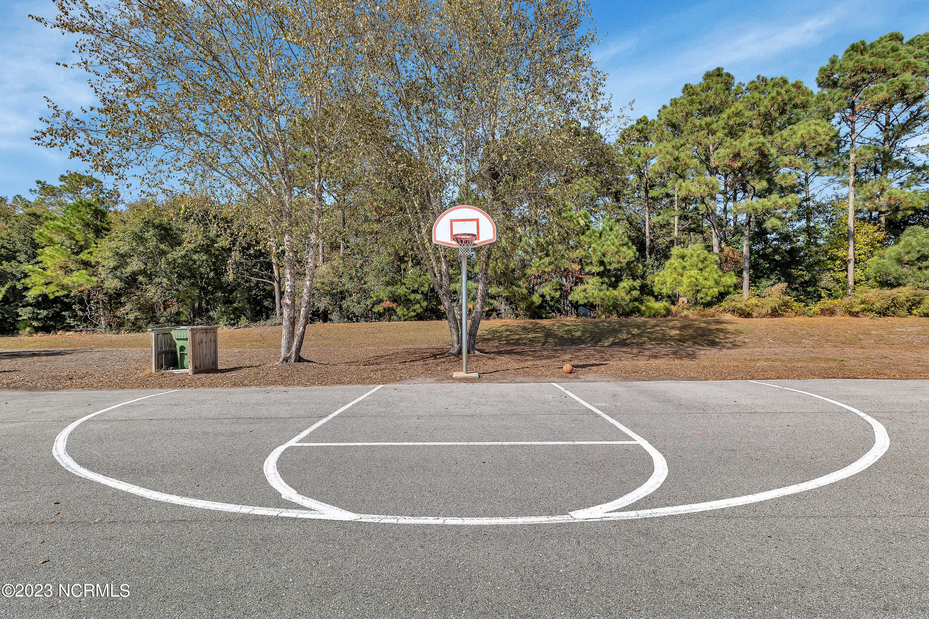 361 W Goldeneye Lane