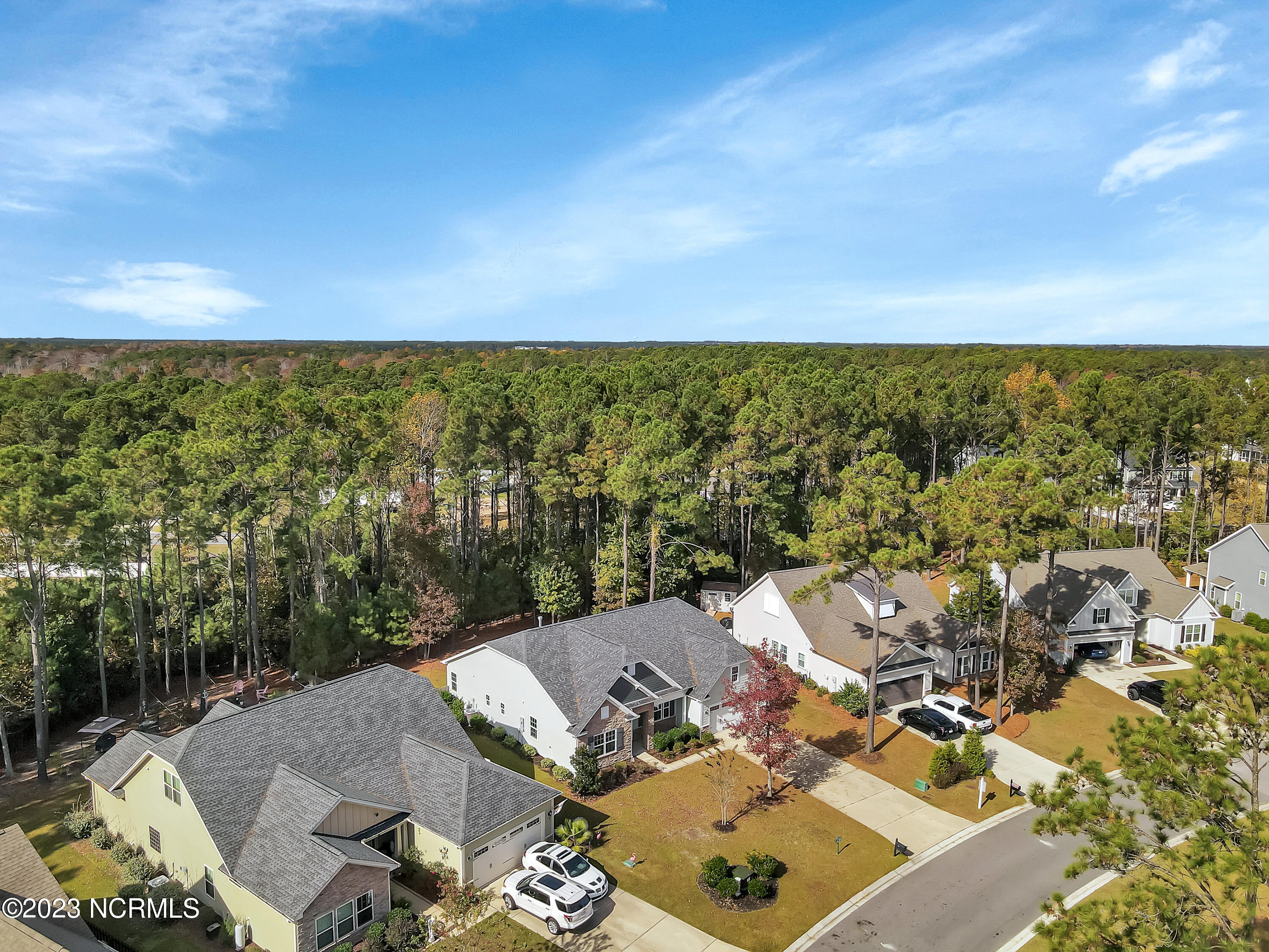 361 W Goldeneye Lane