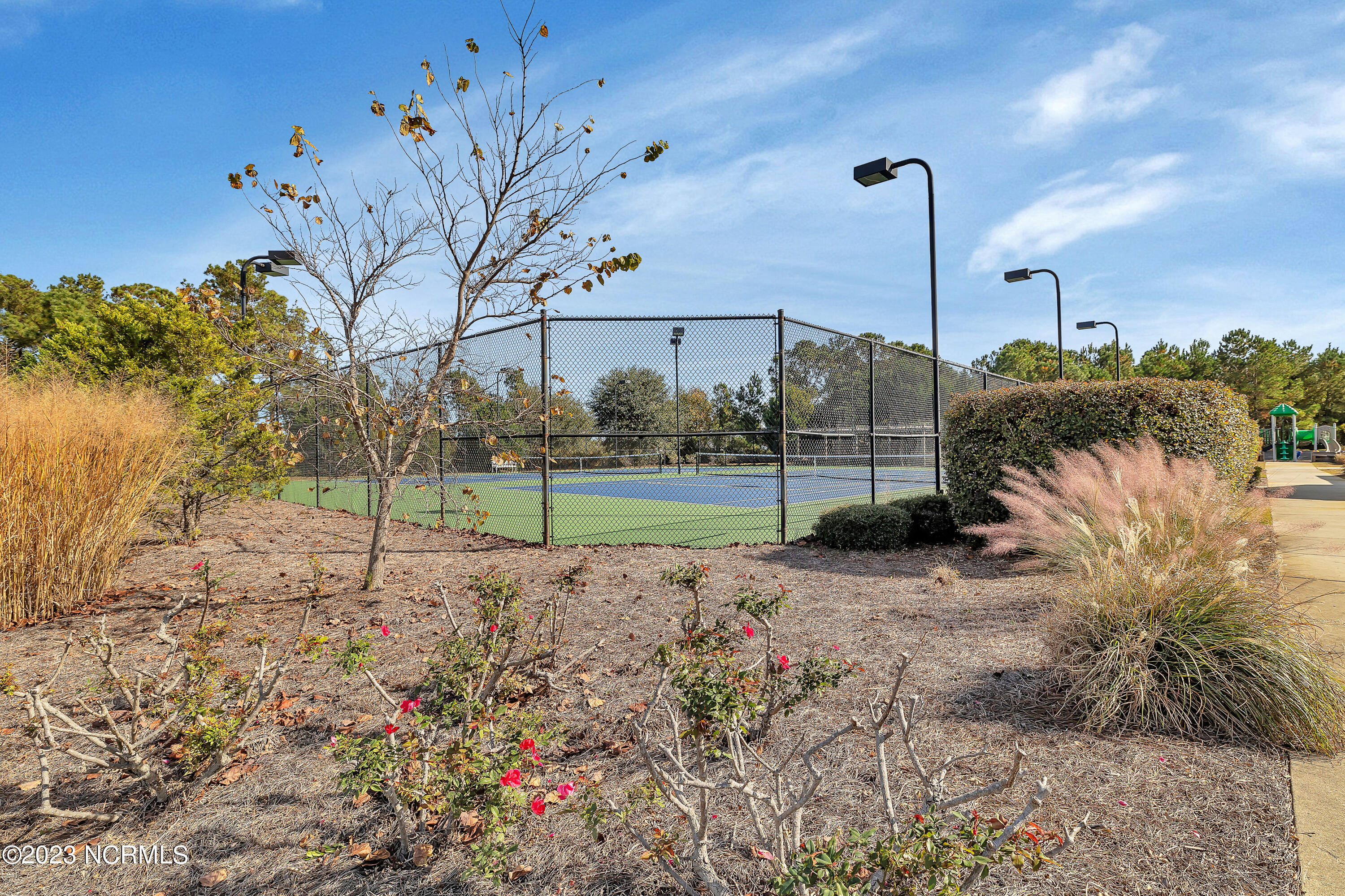 361 W Goldeneye Lane