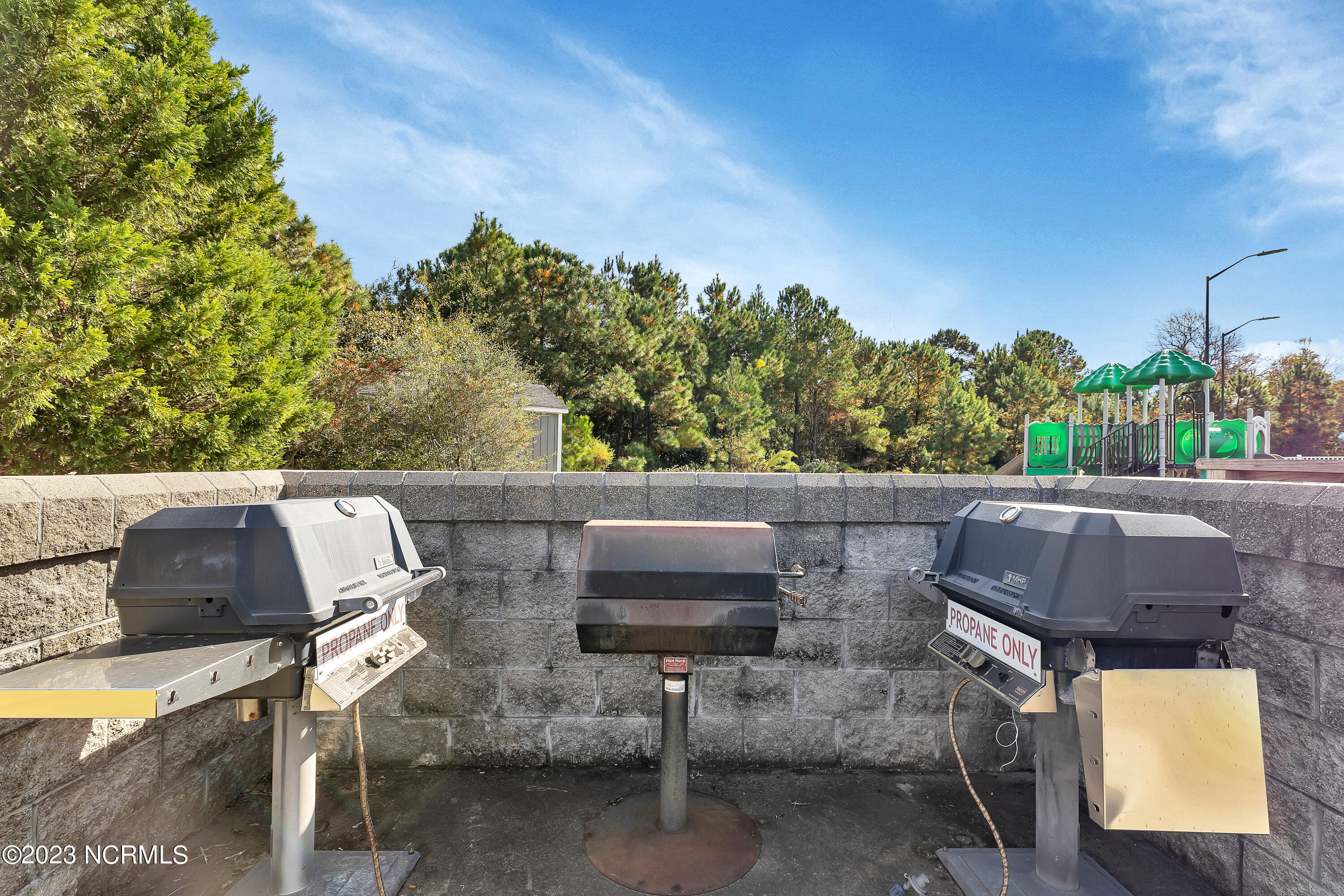 361 W Goldeneye Lane