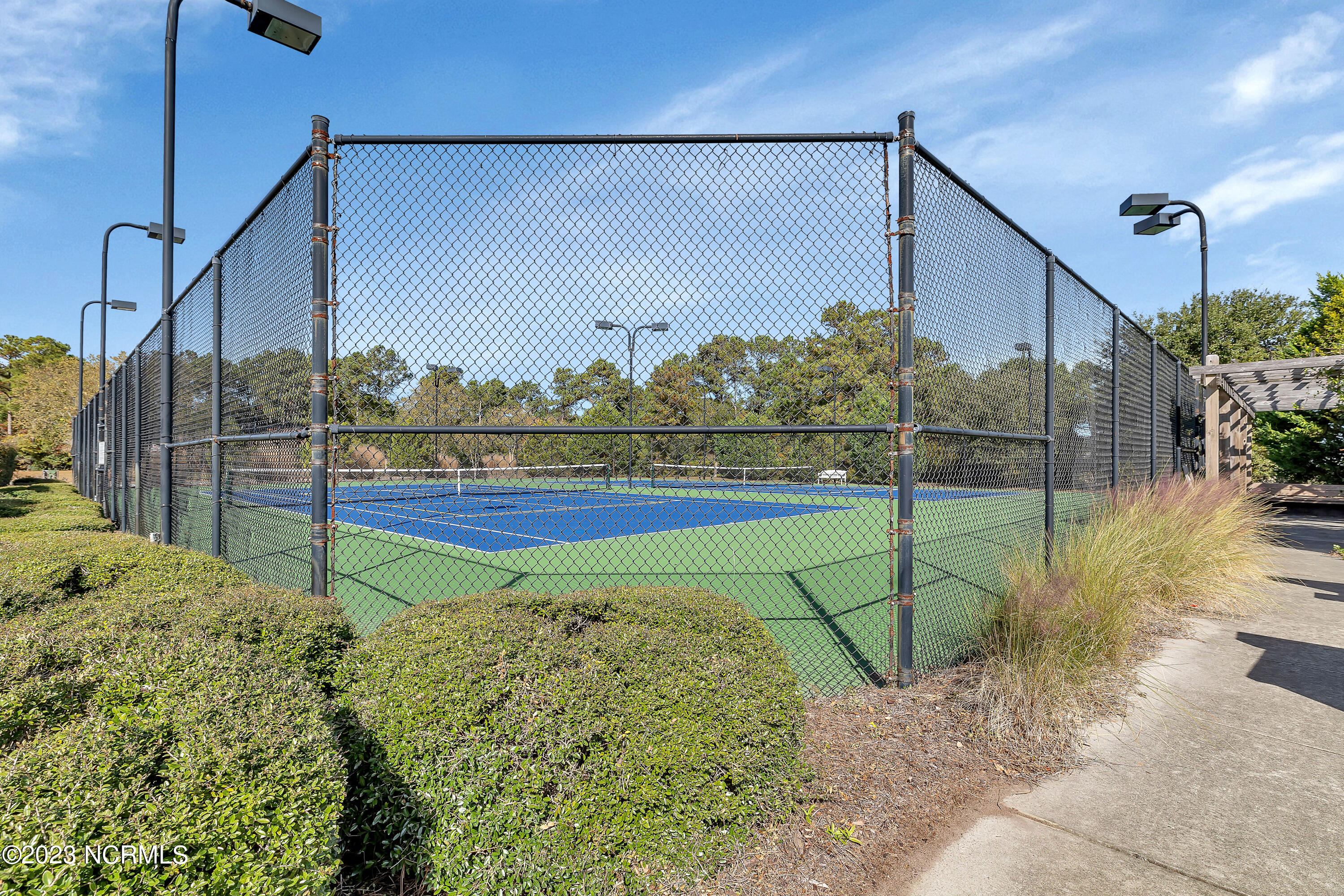 361 W Goldeneye Lane