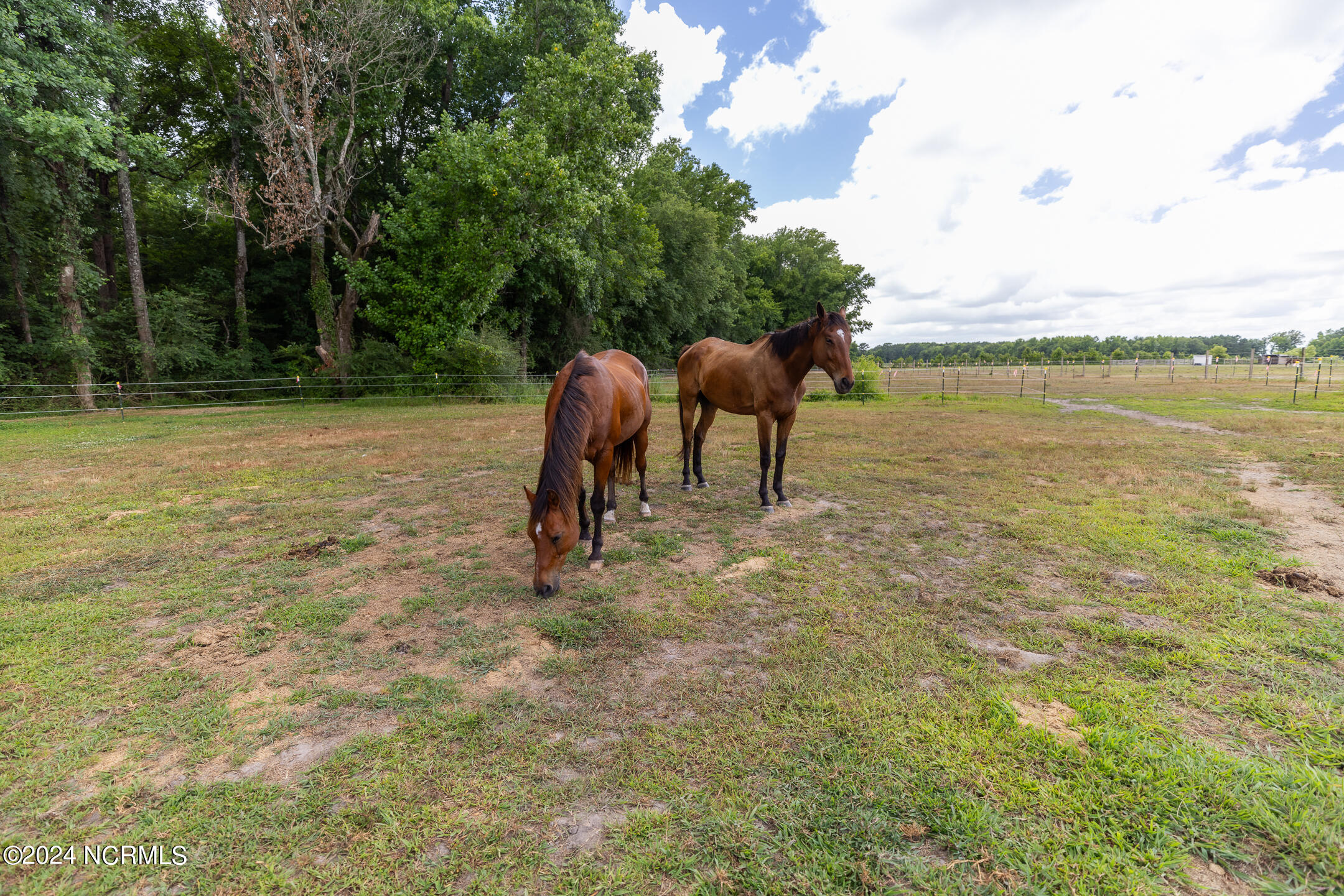 2315 White Oak River Road