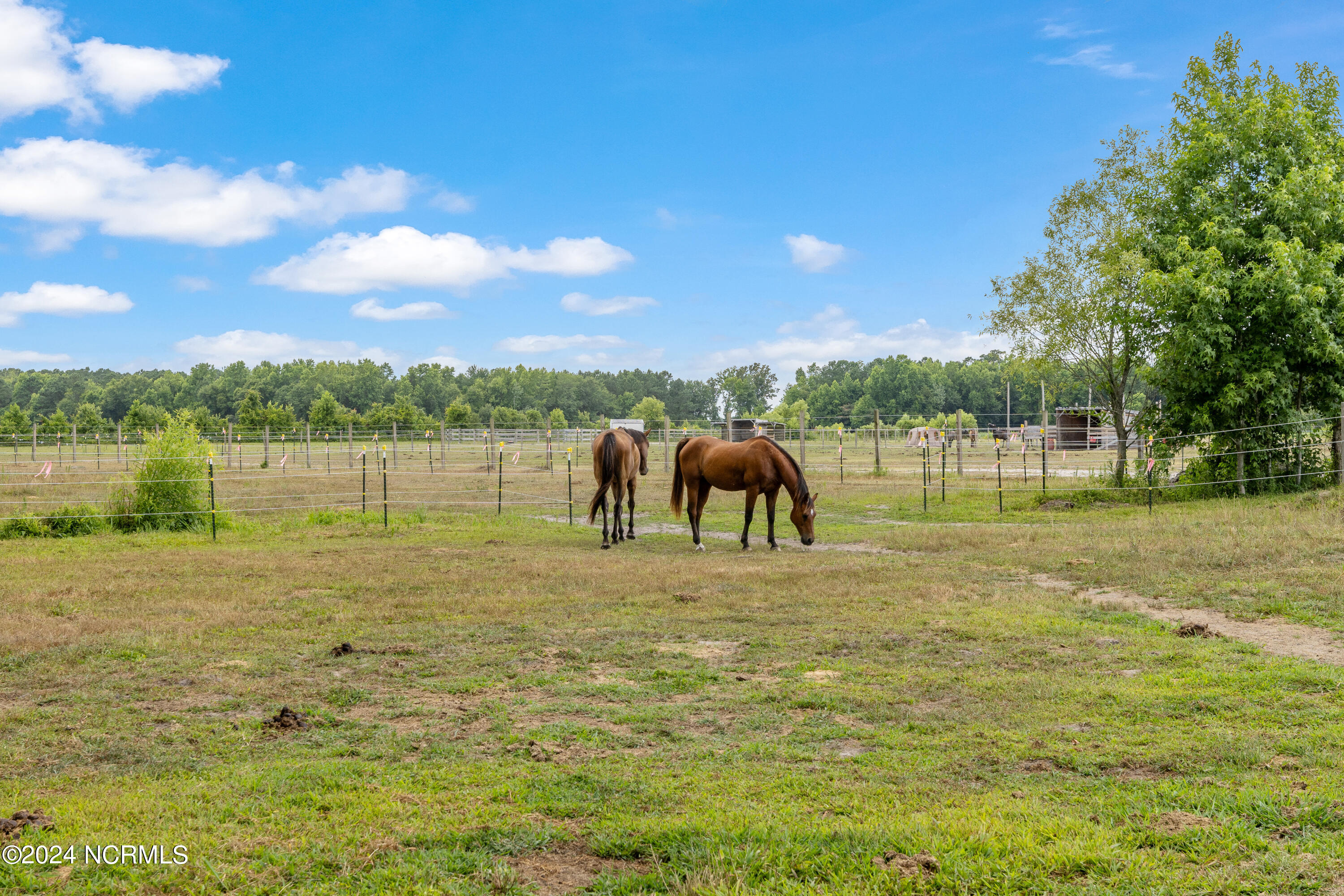2315 White Oak River Road