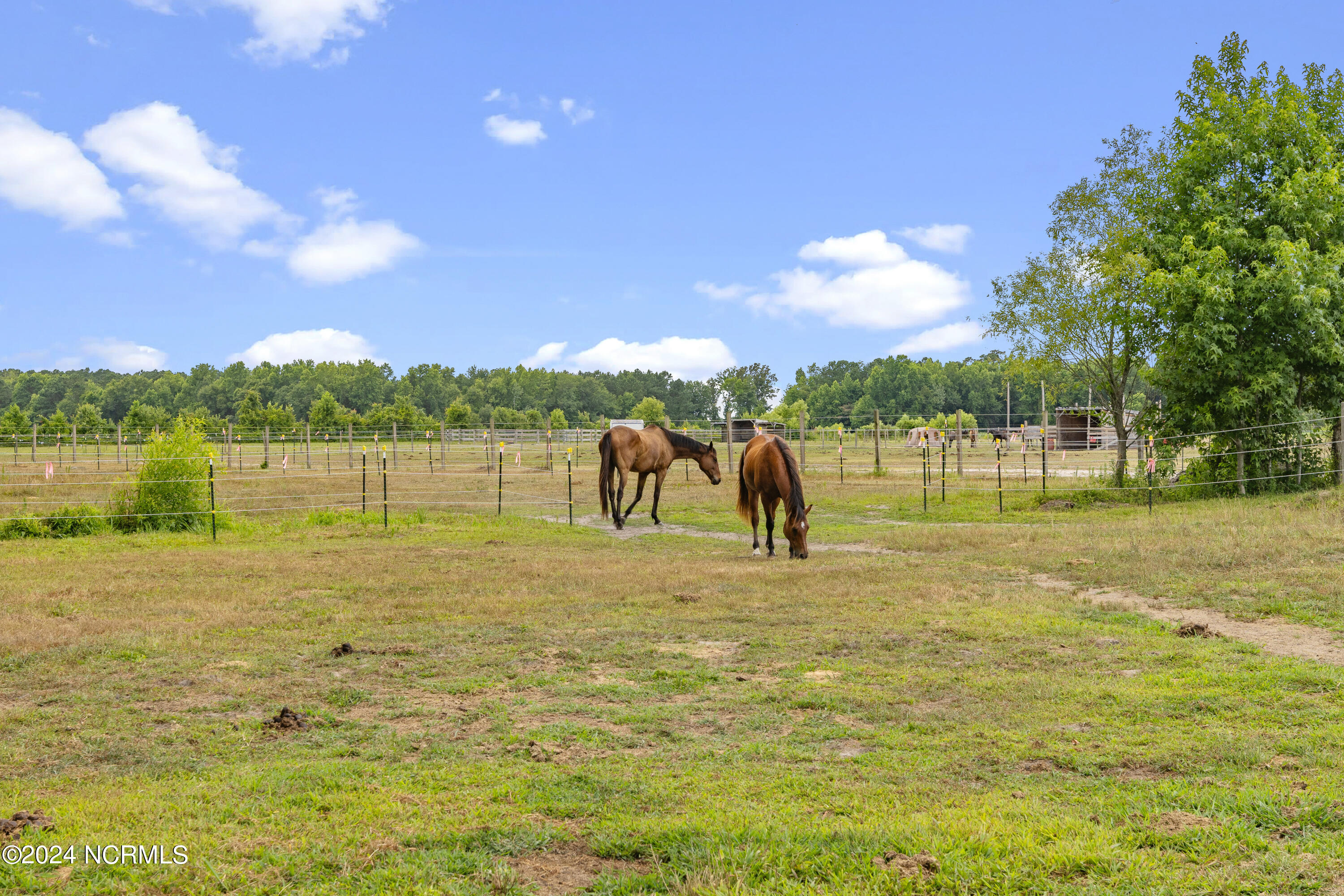 2315 White Oak River Road