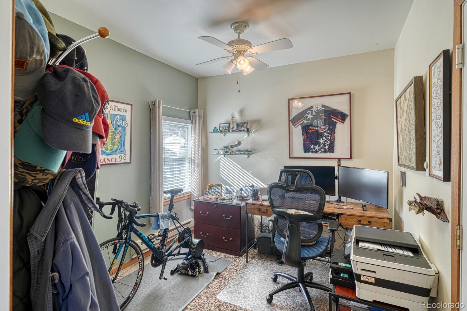 528 Chipeta Trail