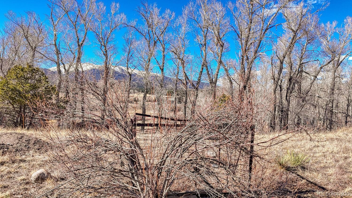16953 County Road 306