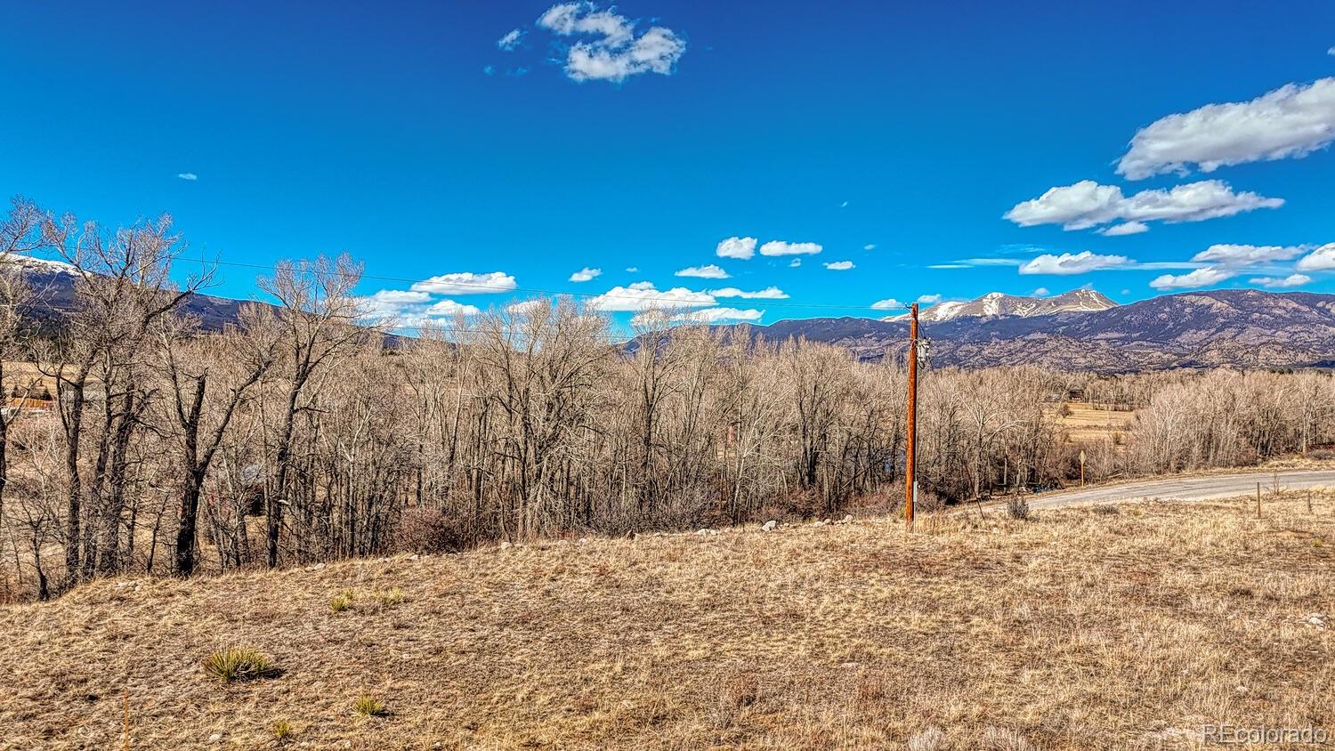 16953 County Road 306