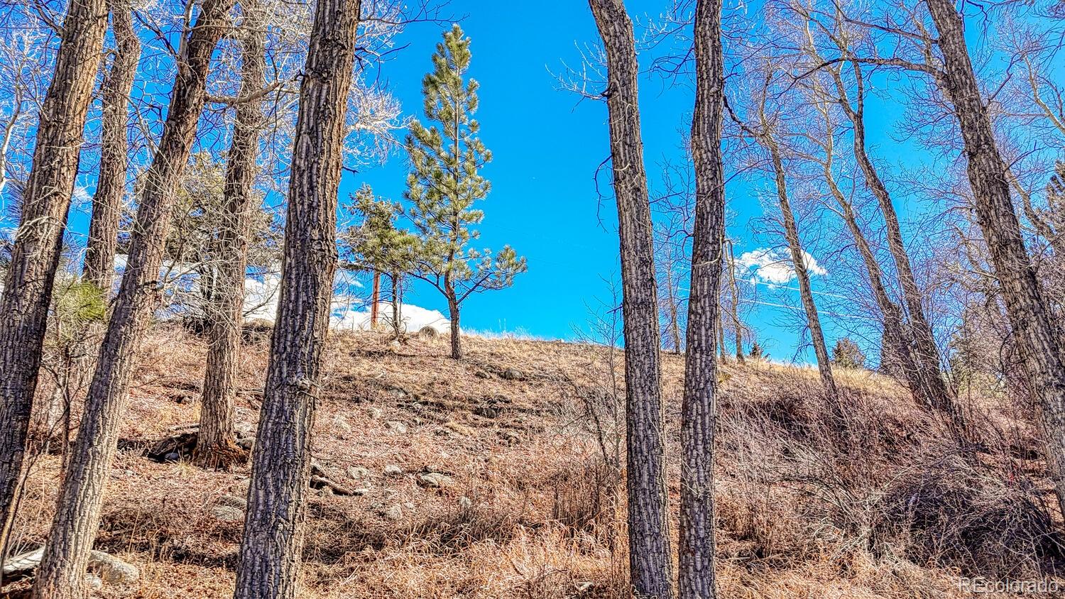 16953 County Road 306