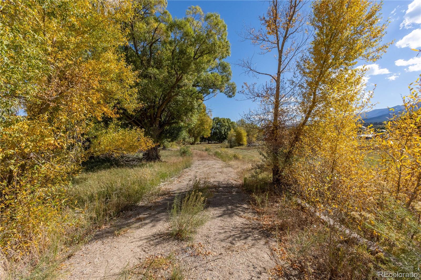 7080 County Road 110