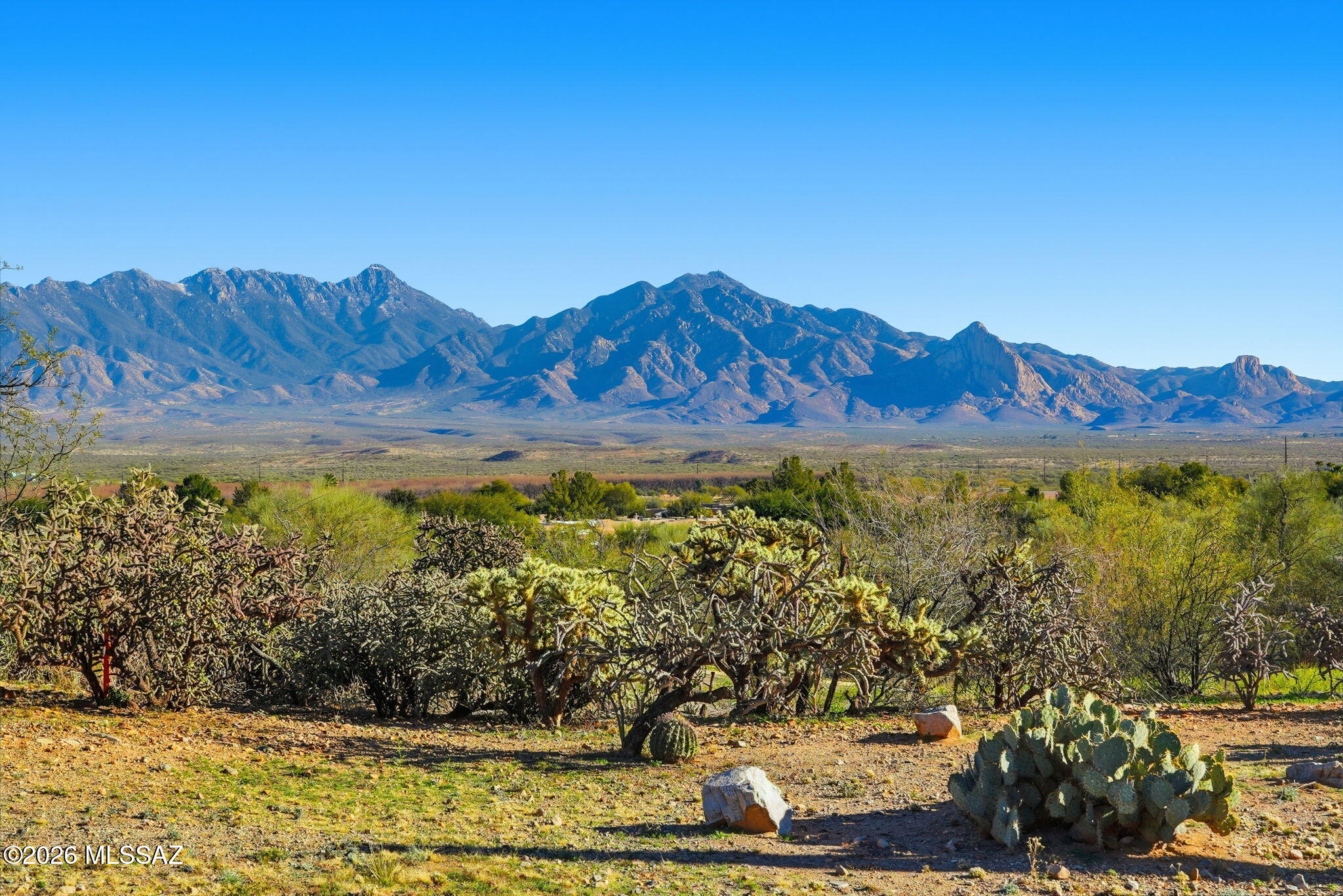 1040 W Camino Del Pato